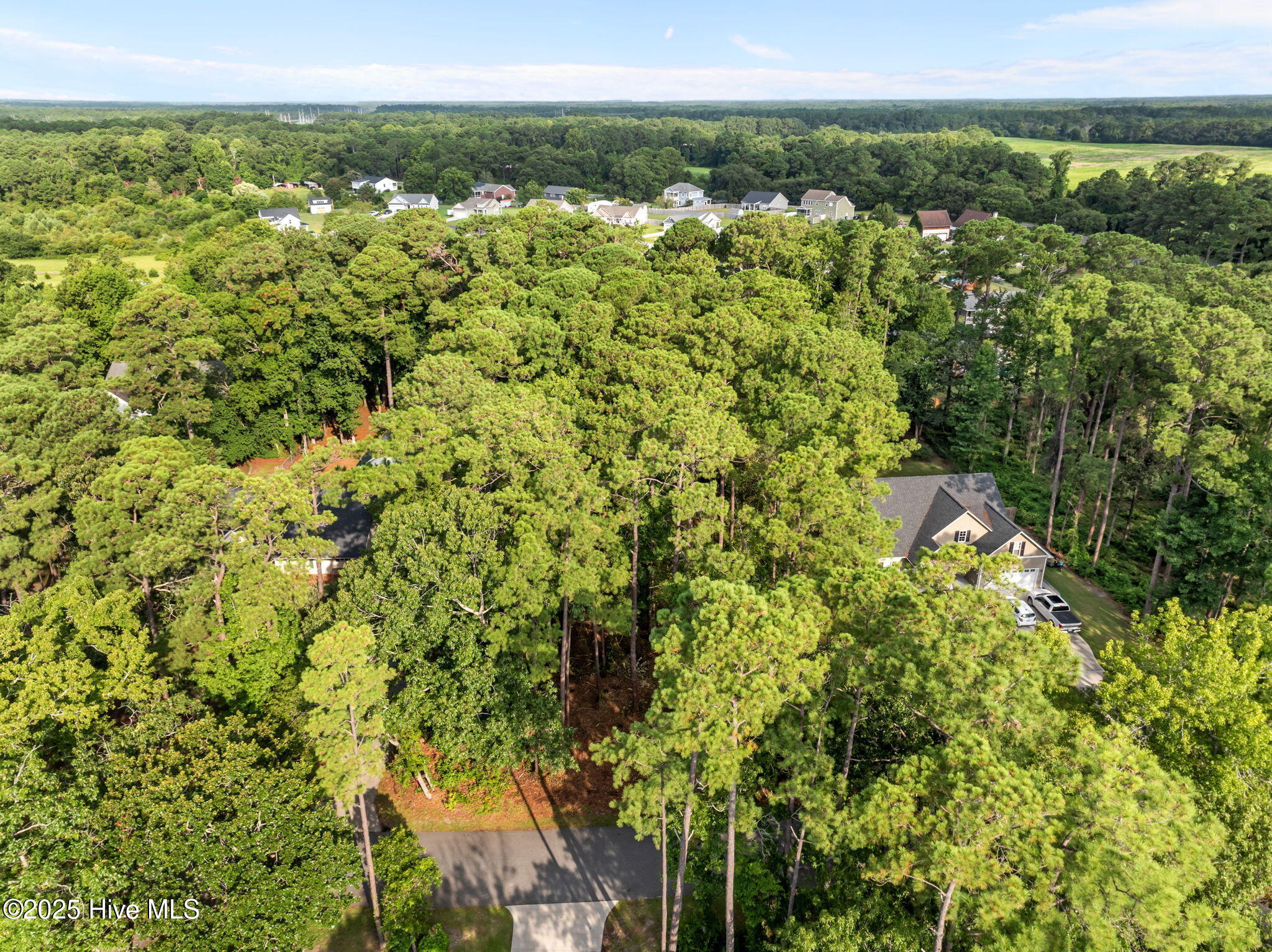 100520781 | Photo 23