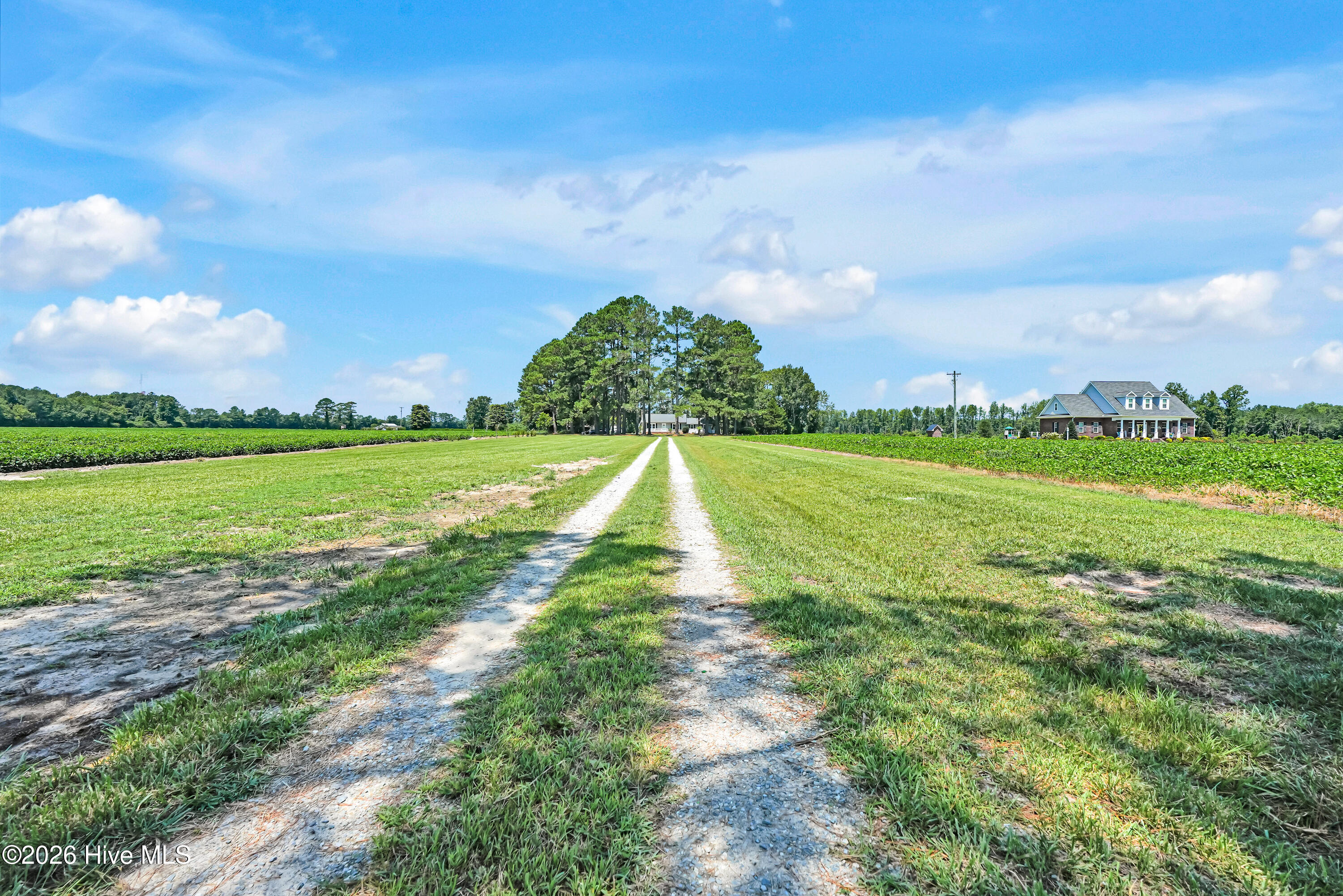 2nd image of 3275 Horse Branch Rd, Willard, NC 28478 | MLS# 100598019