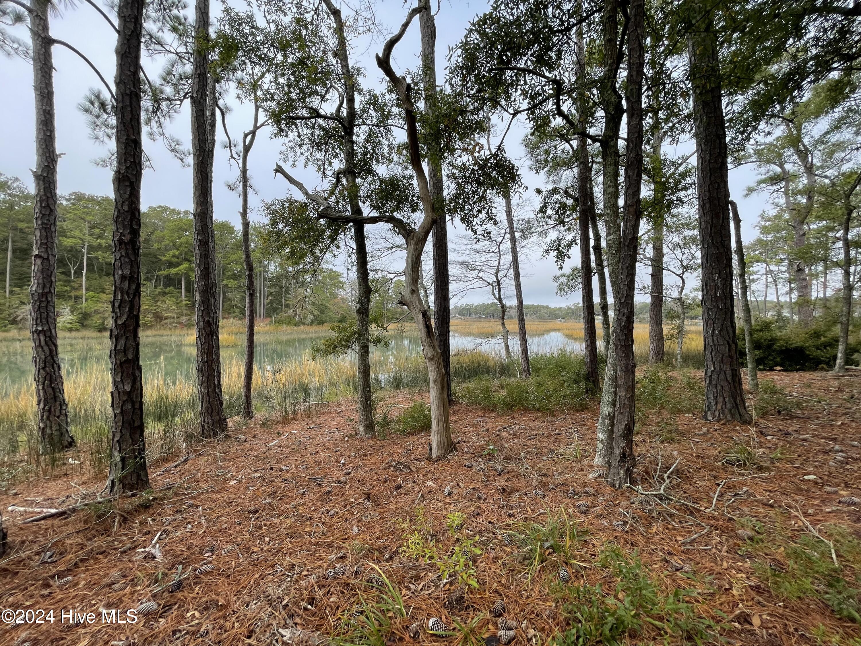 100481360 | Photo 27