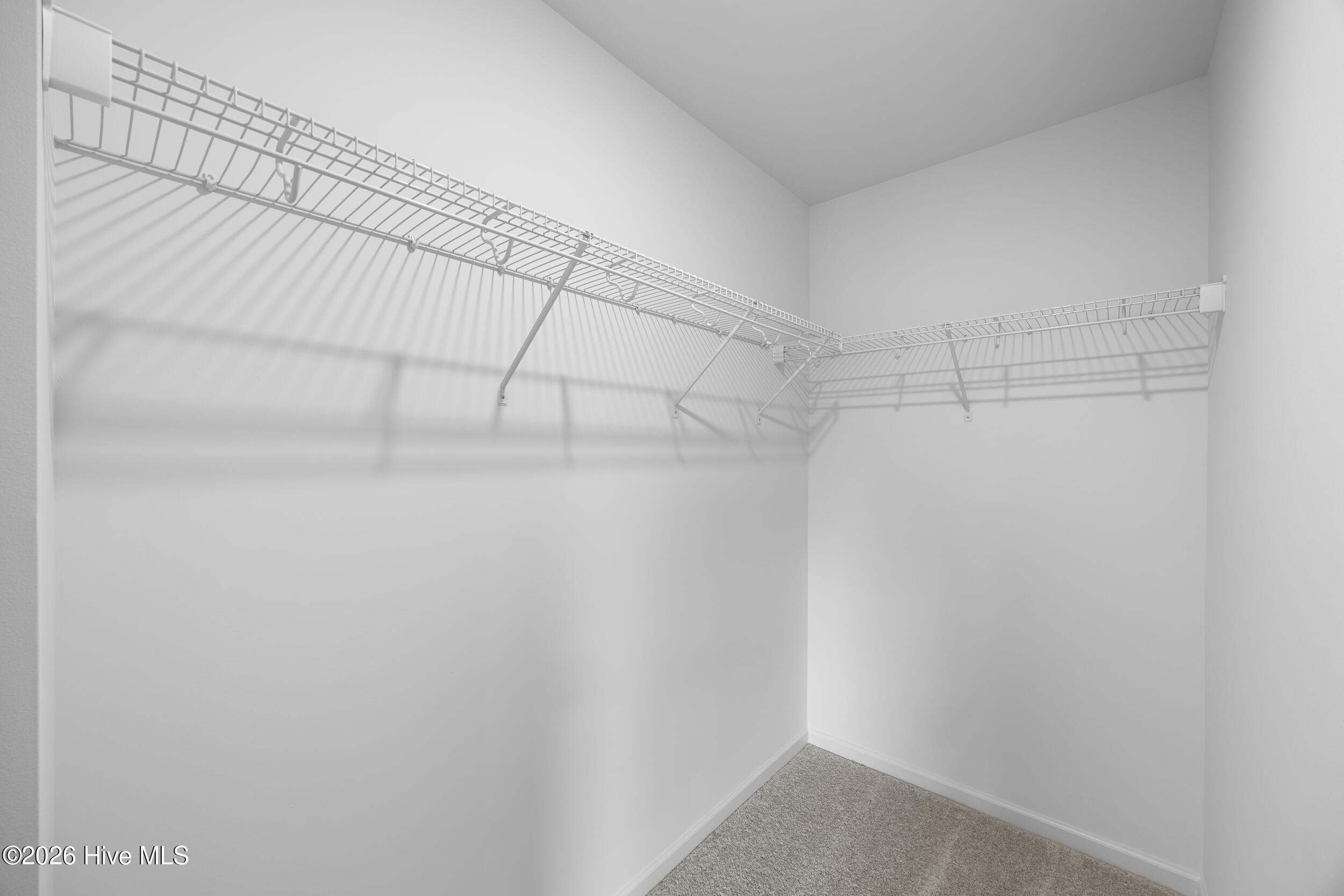 100557085 | Photo 21