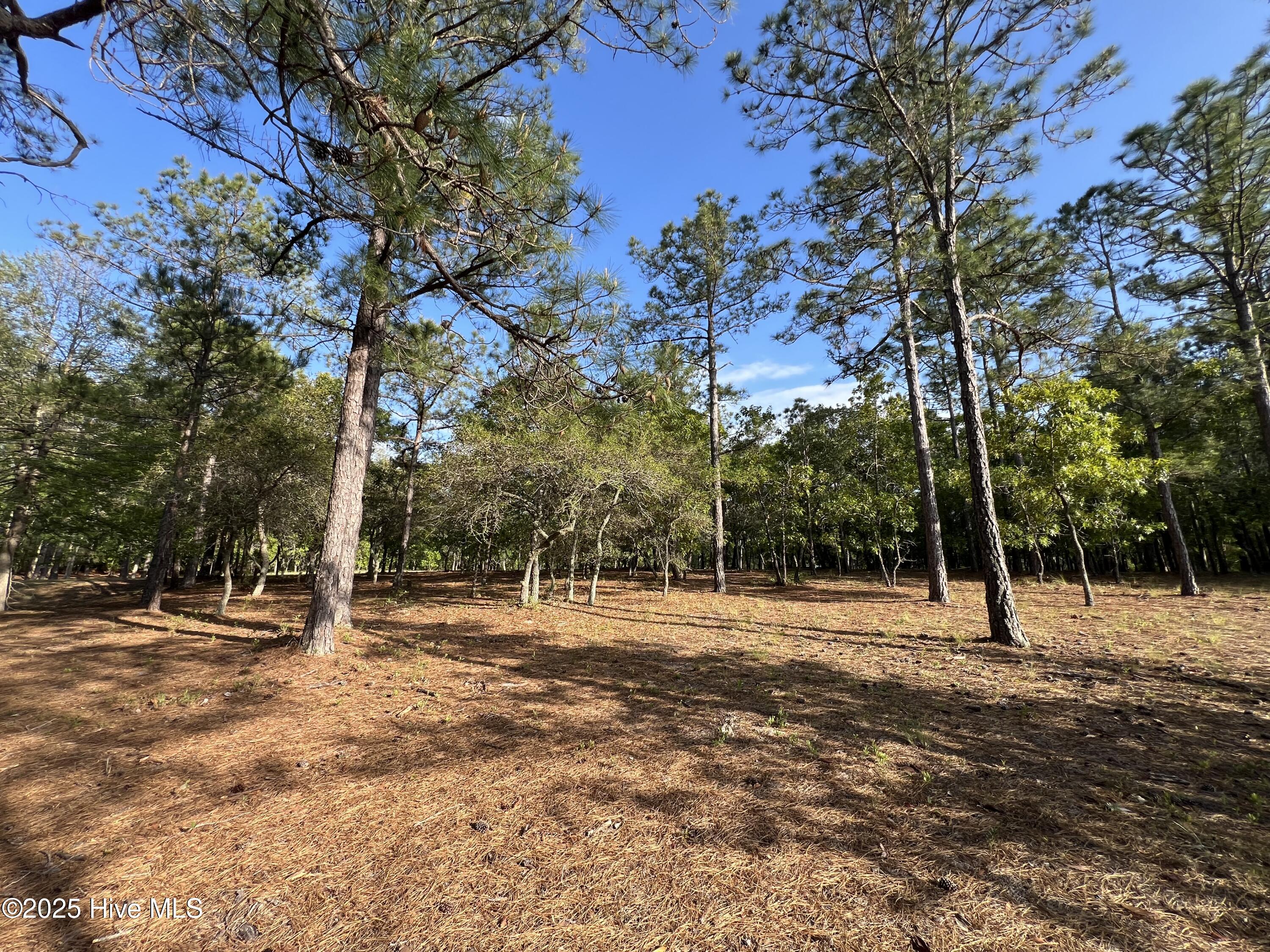 100506027 | Photo 37