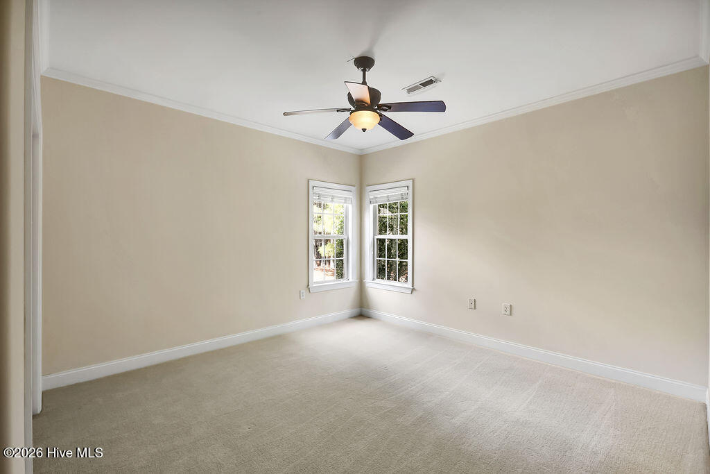 100558712 | Photo 25