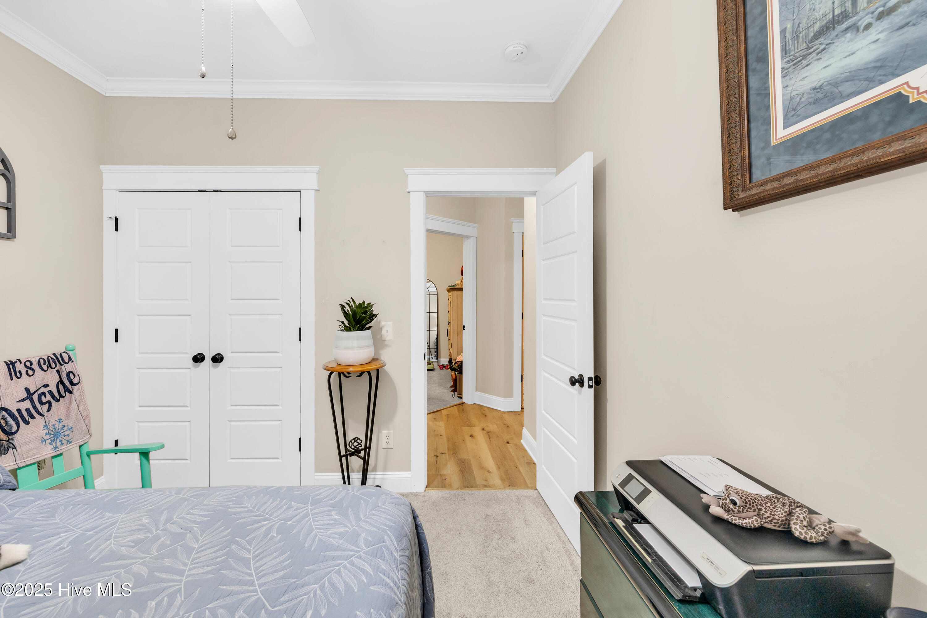 100540432 | Photo 25