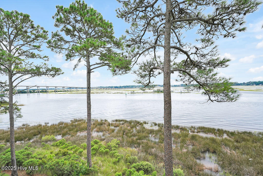 100531900 | Photo 33