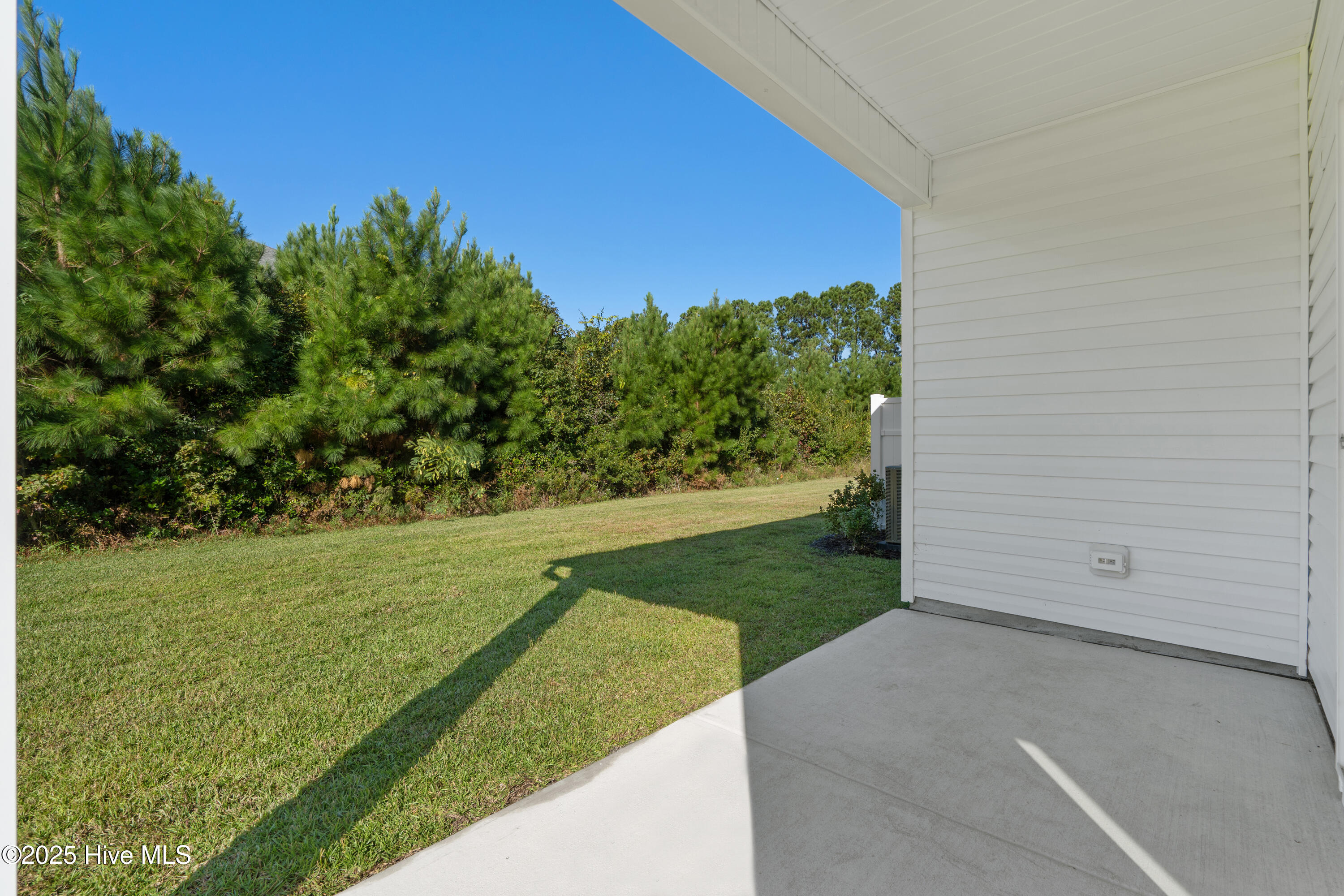 100536567 | Photo 35