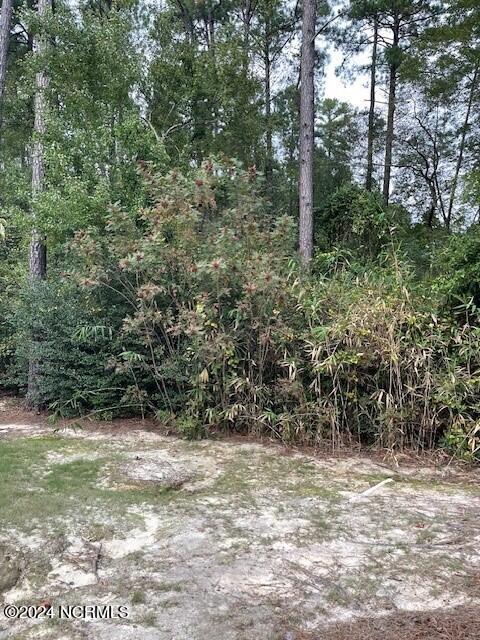 Homes for sale in Pinehurst, NC | 5 Raintree Ct, Pinehurst, NC 28374 | MLS# 100542981