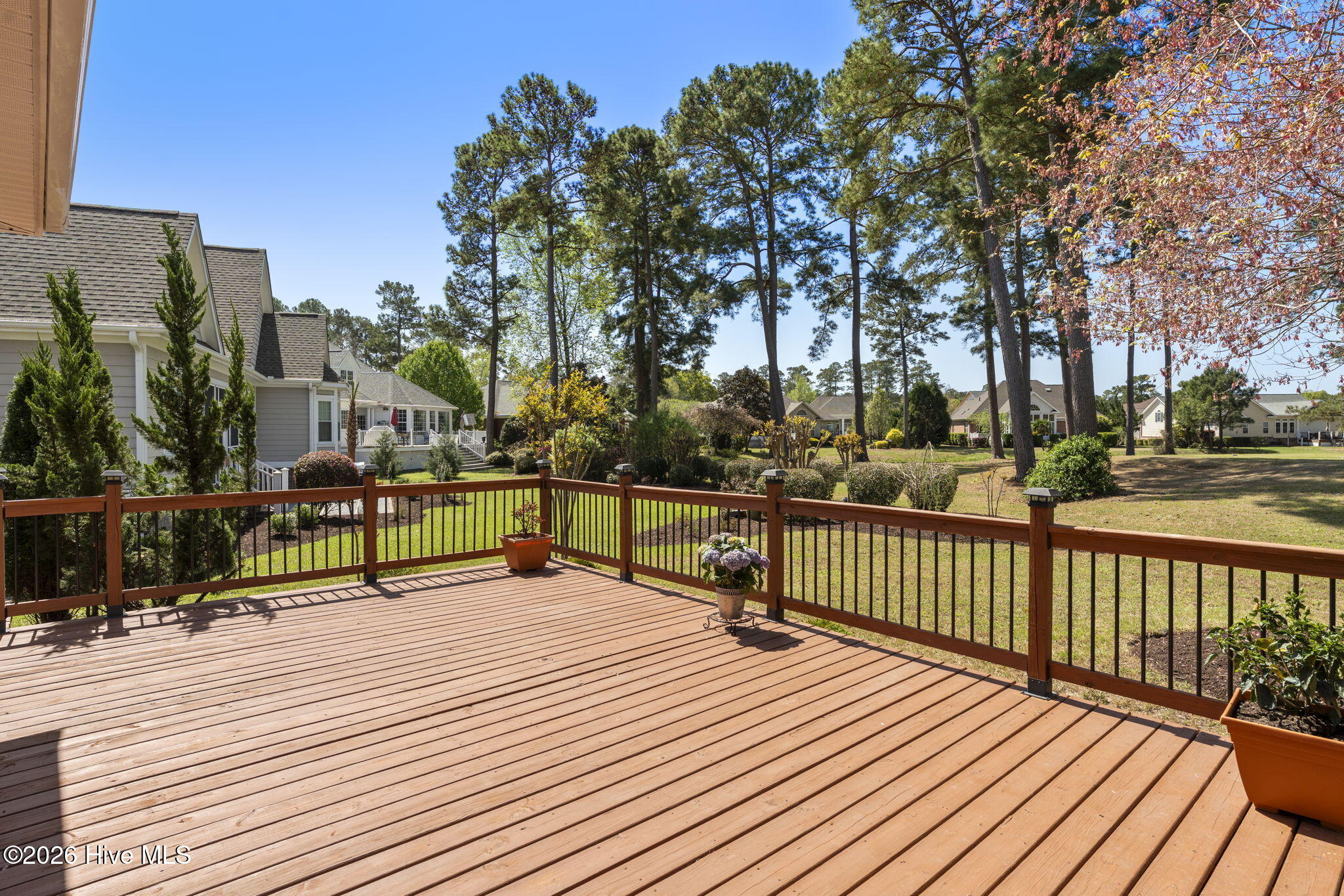 100563951 | Photo 14