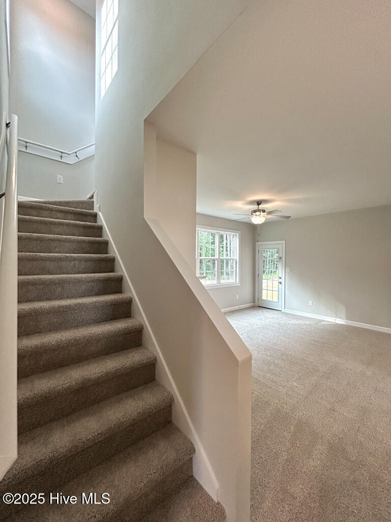 100537397 | Photo 38