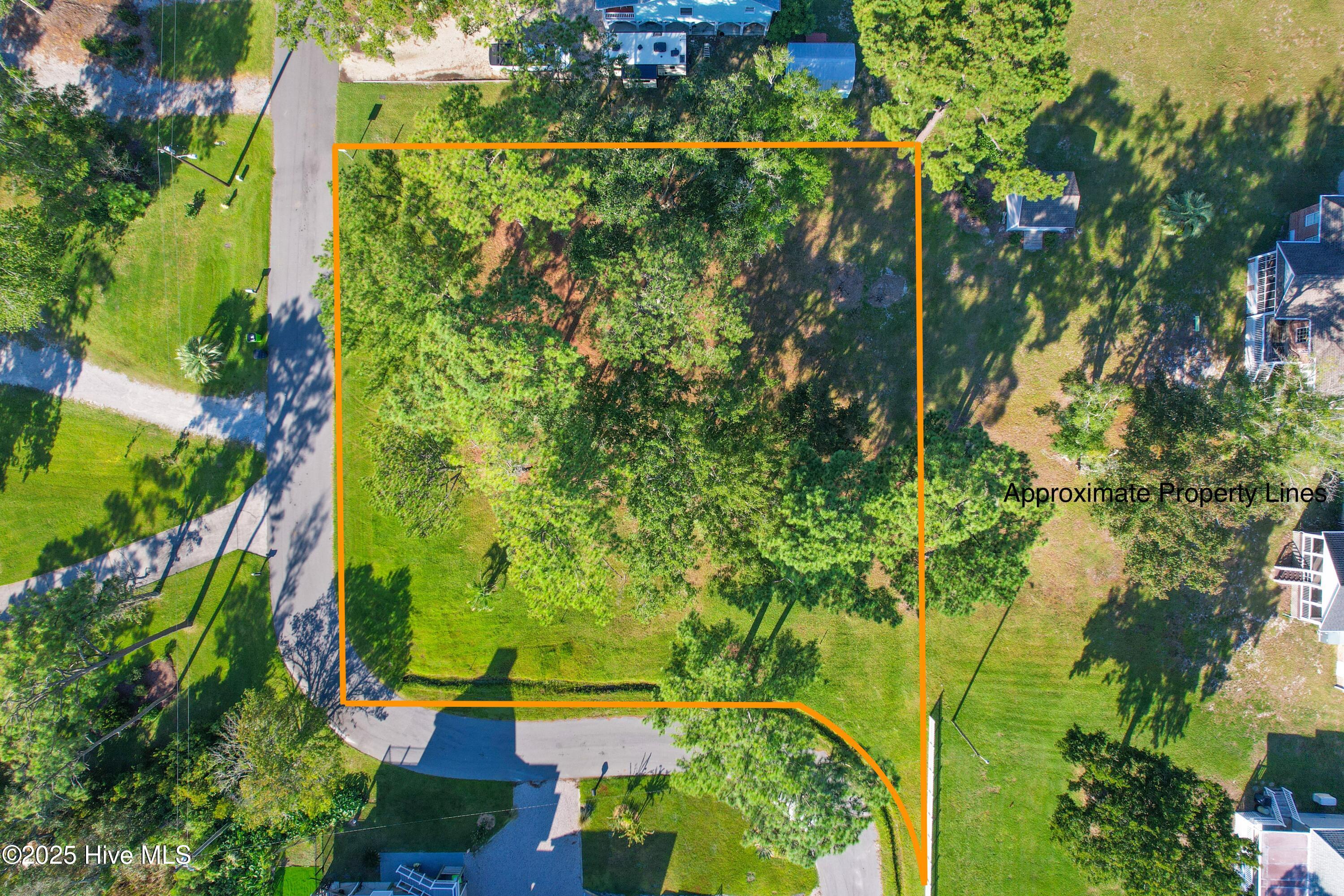 100529264 | Photo 14