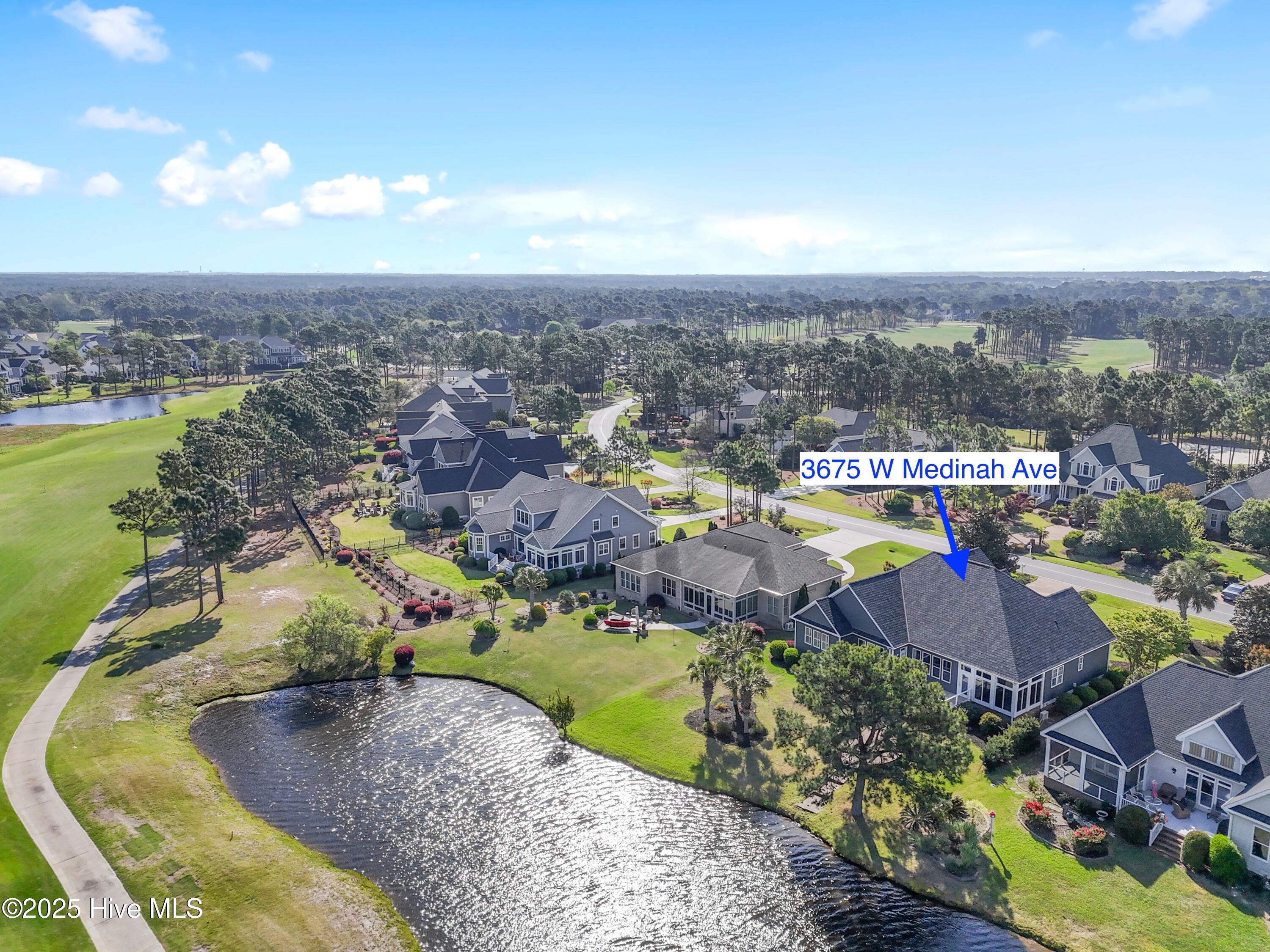 100504697 | Photo 46