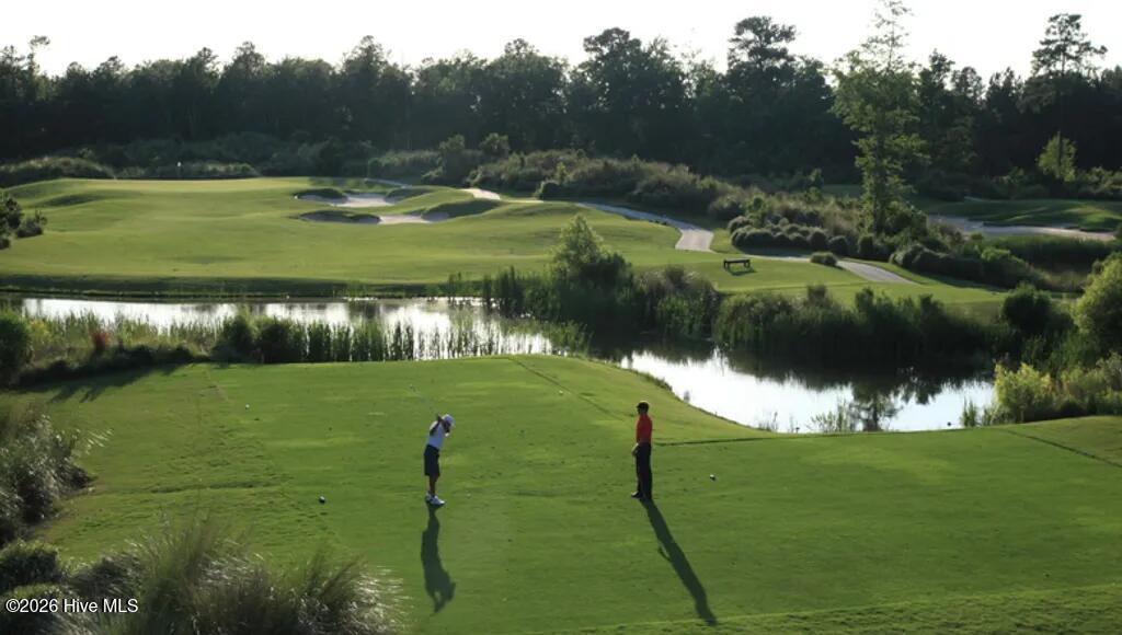 100564794 | Photo 33