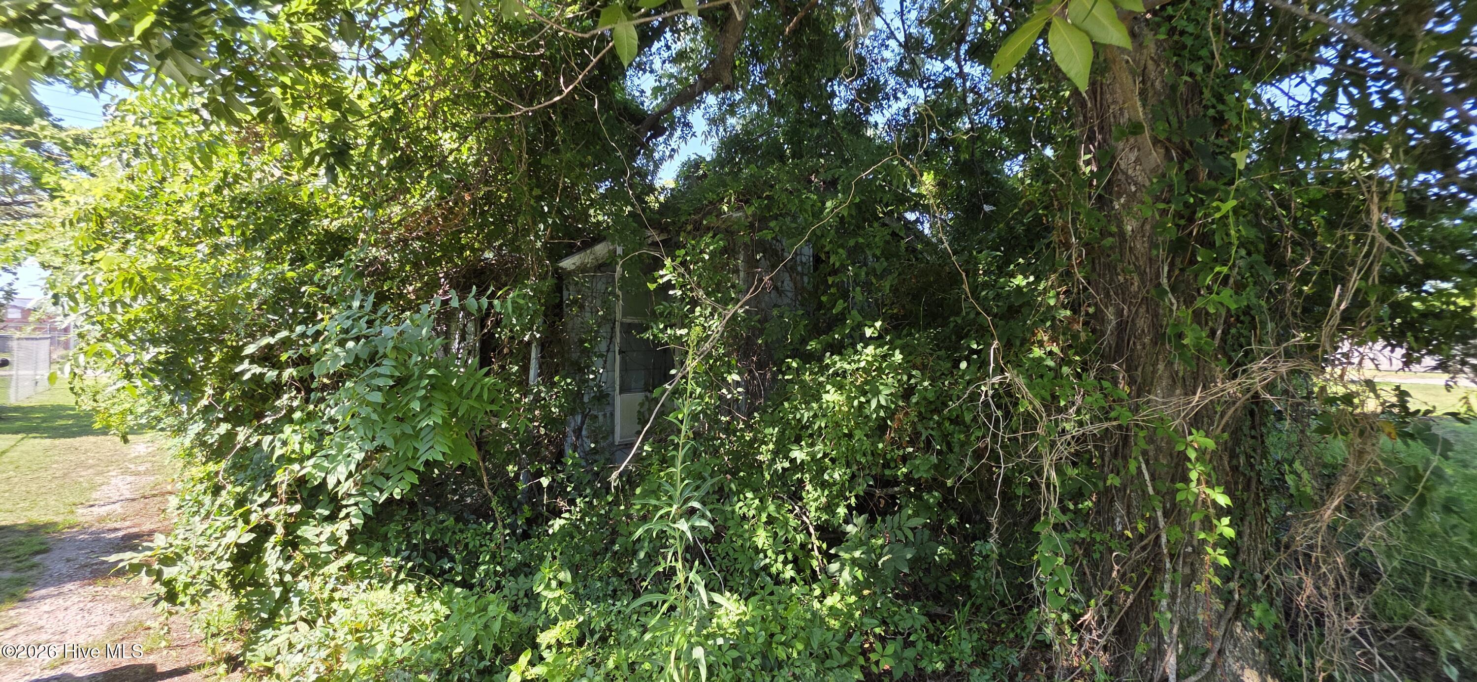 1310 1/2 Bridges Street,Morehead City