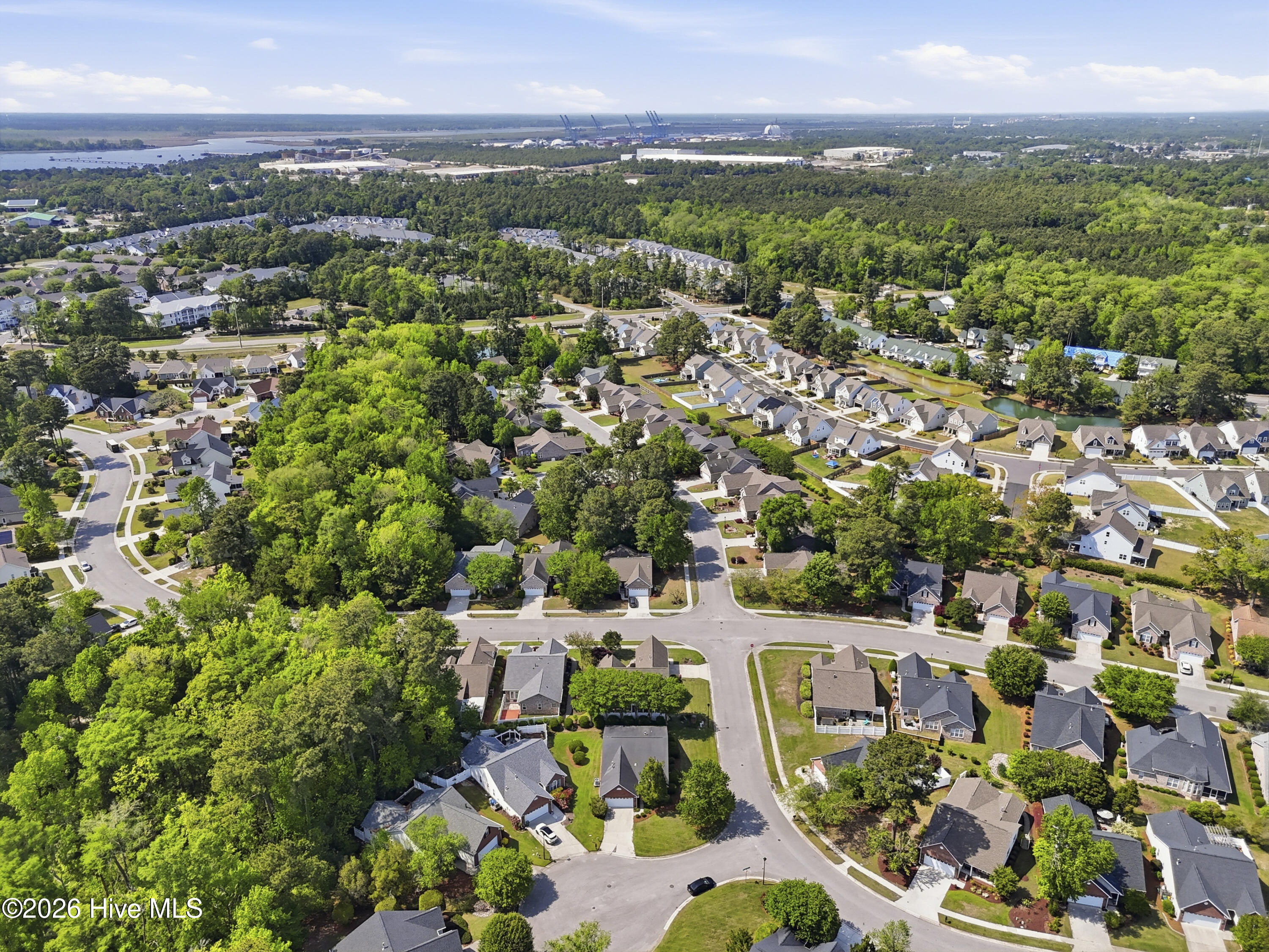 100567649 | Photo 45