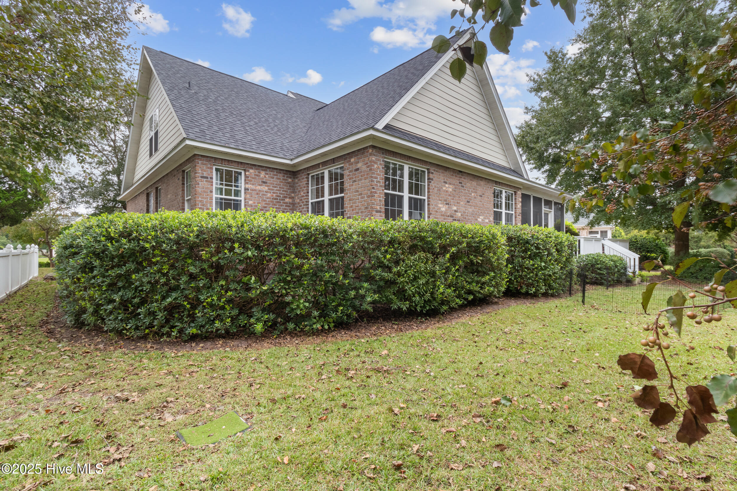 100536659 | Photo 43