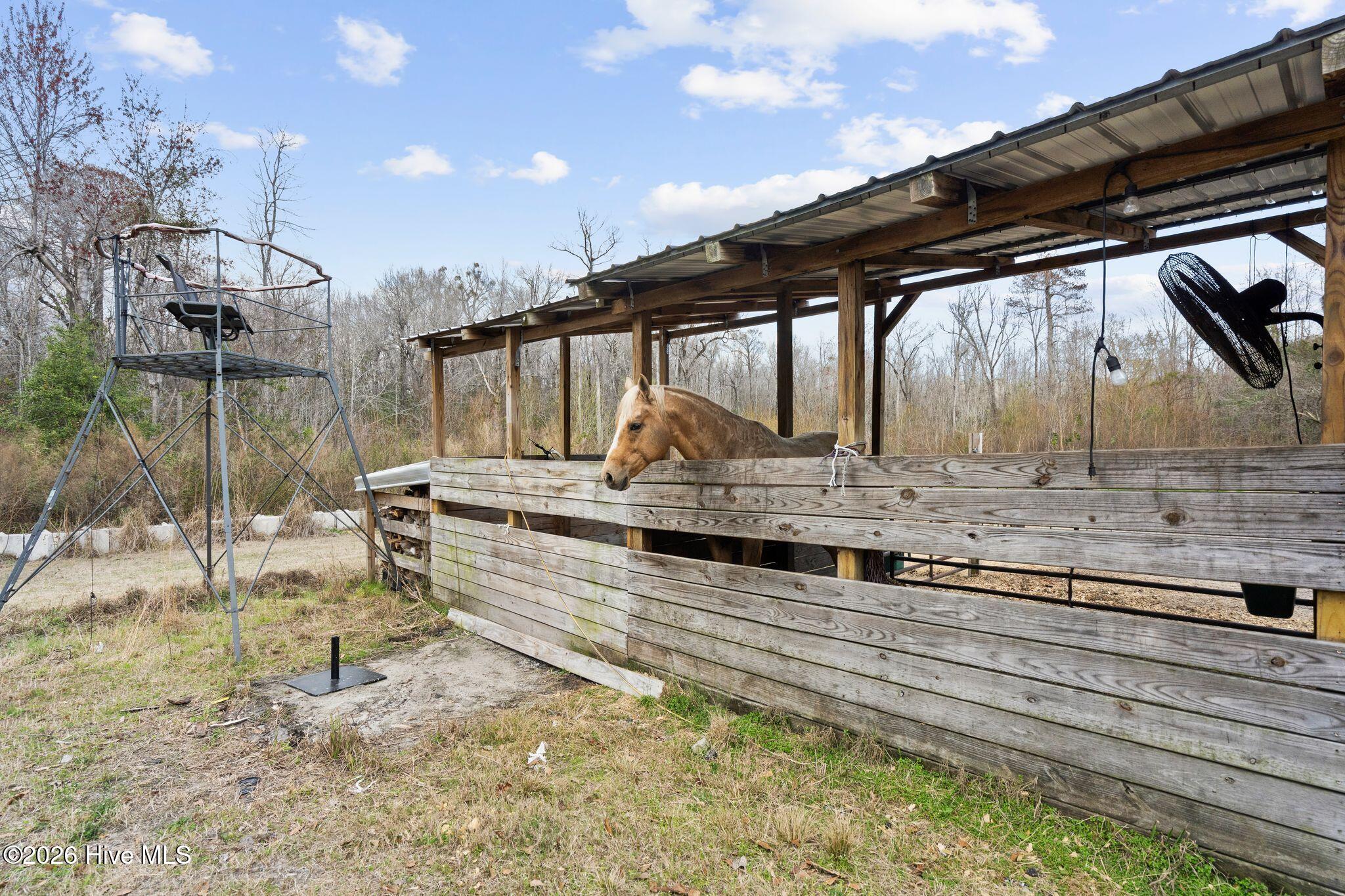 100559666 | Photo 107