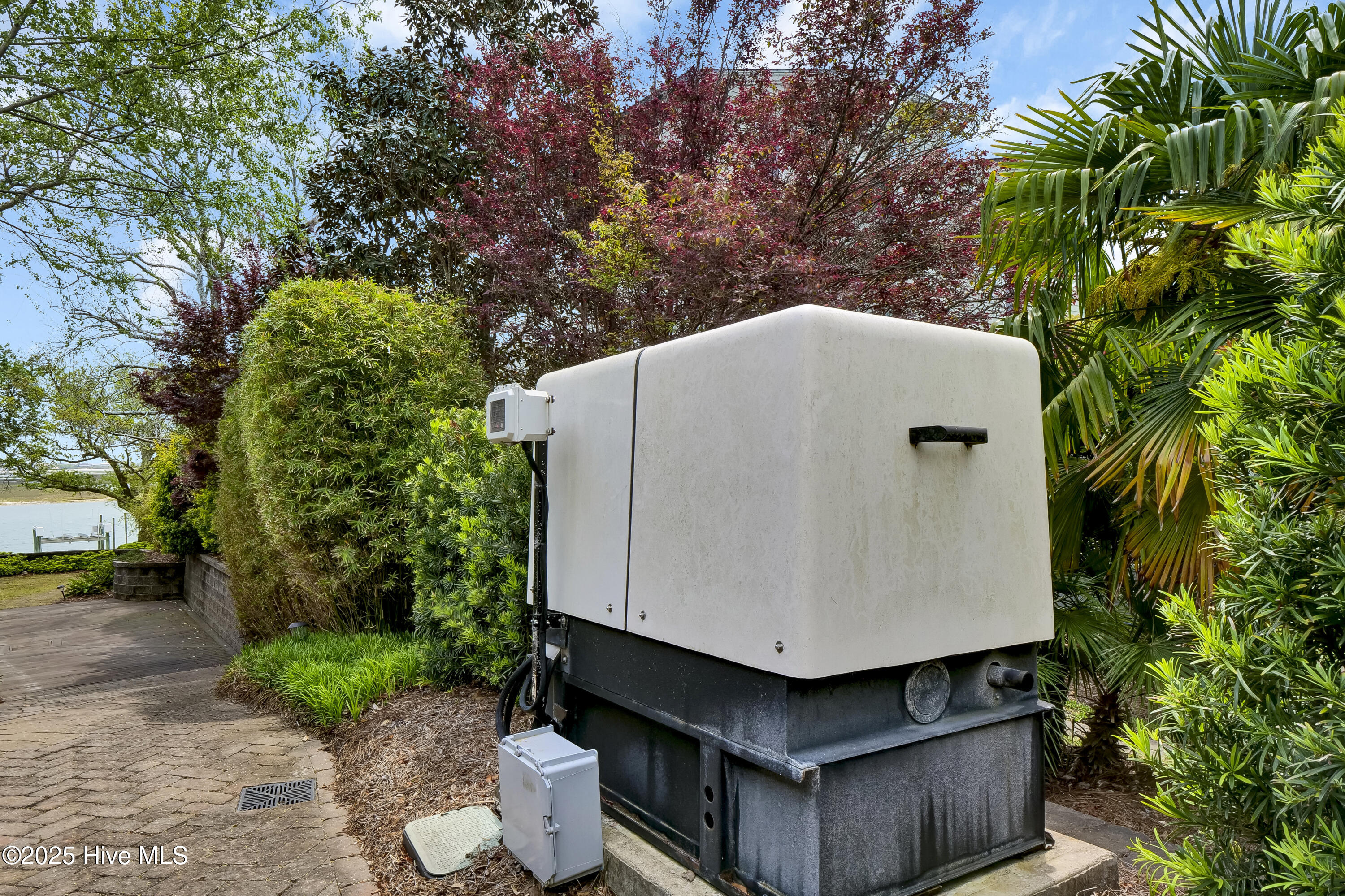 100504113 | Photo 64