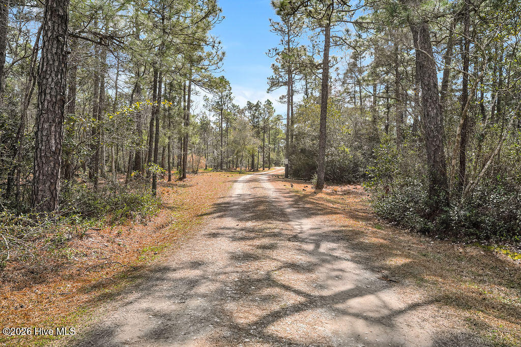 100560144 | Photo 41