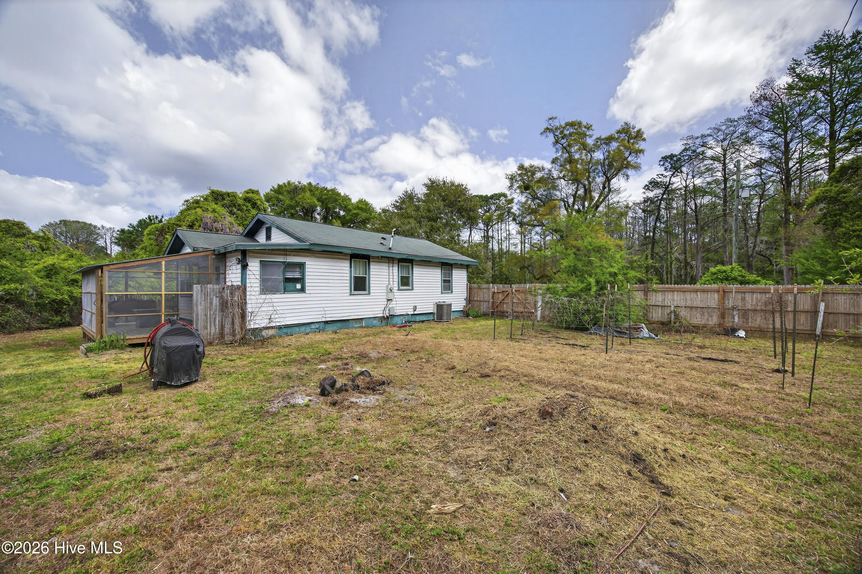 100564526 | Photo 44