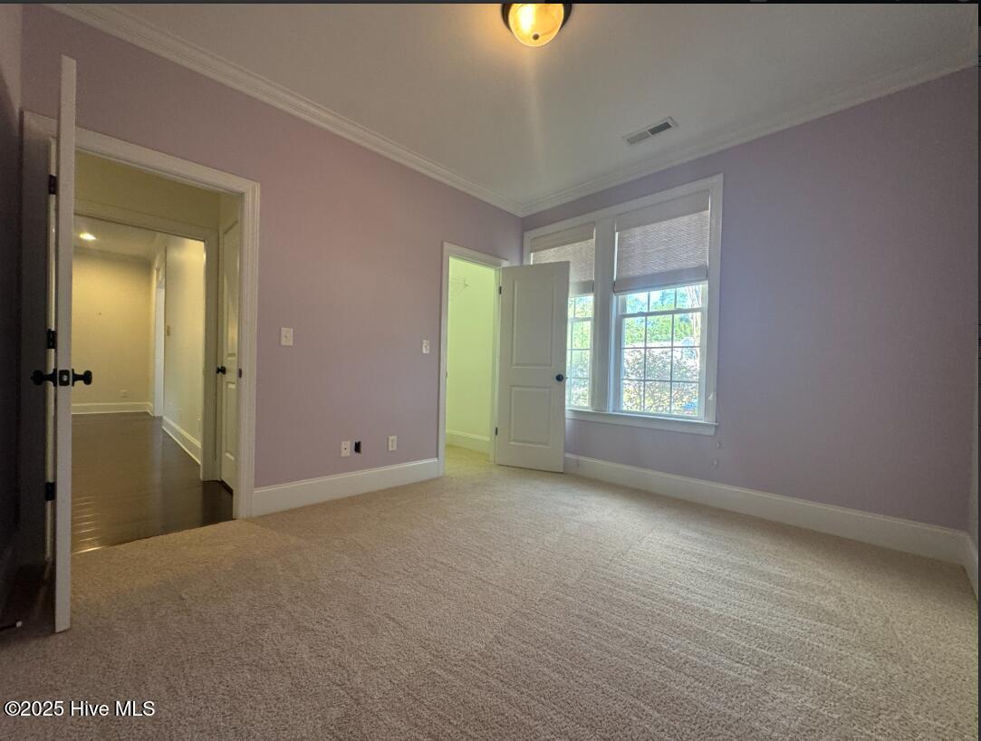 100537320 | Photo 11