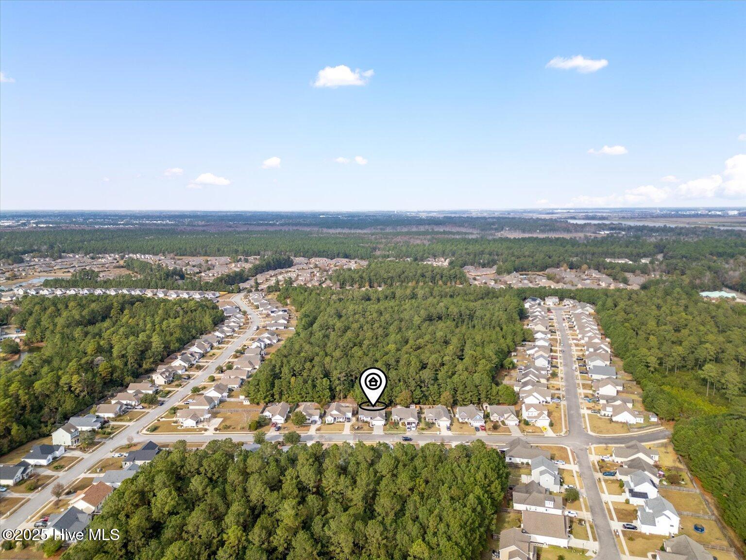 100543351 | Photo 44