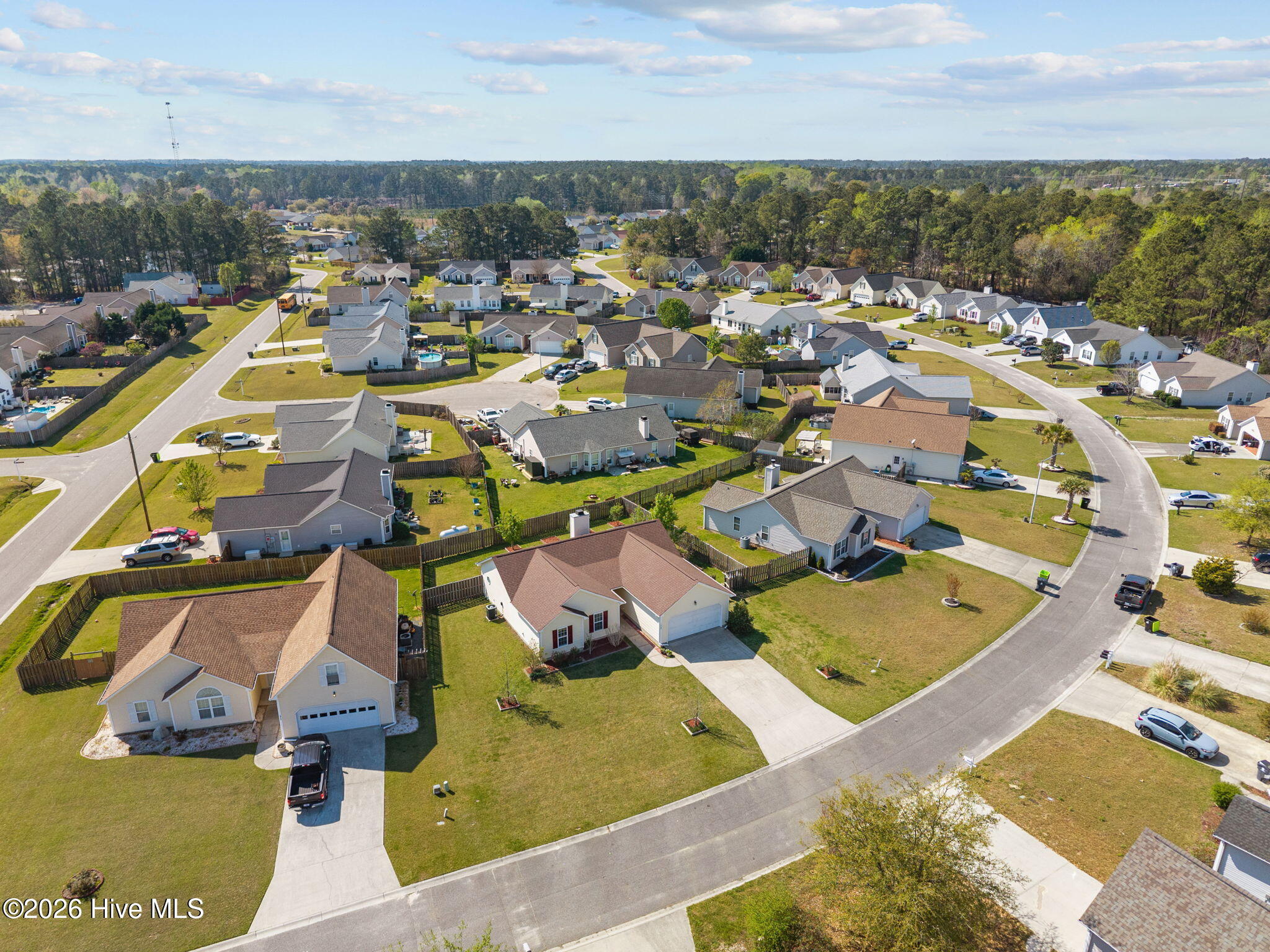 100563369 | Photo 12