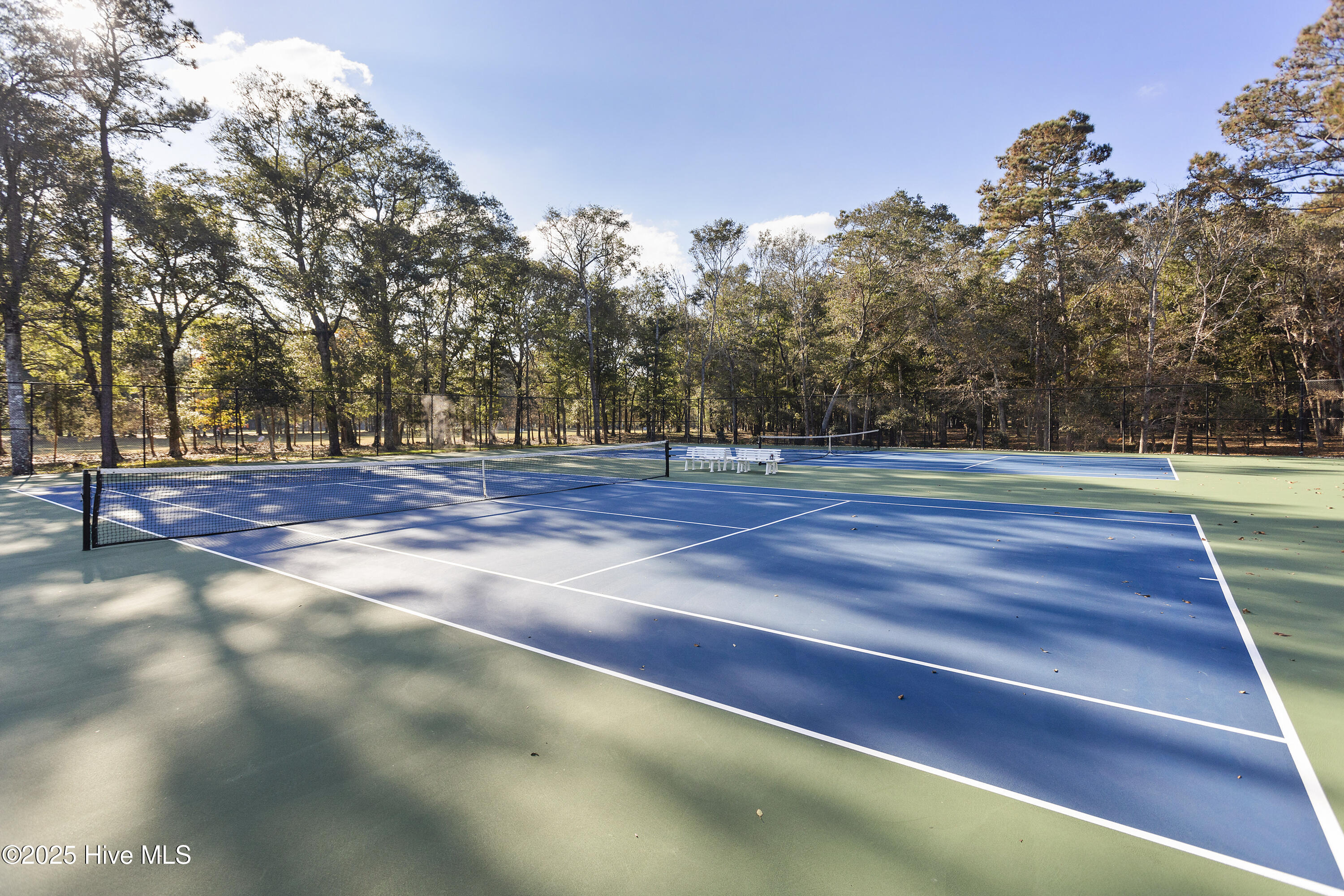 100545333 | Photo 33