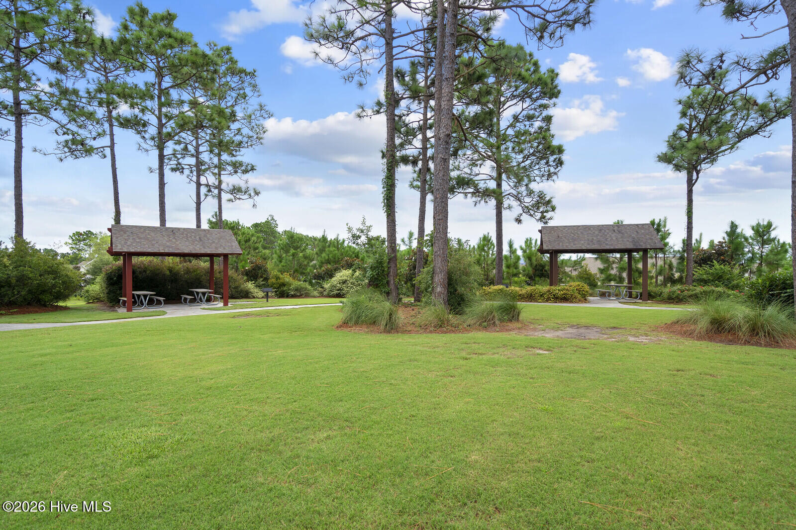 100558633 | Photo 51