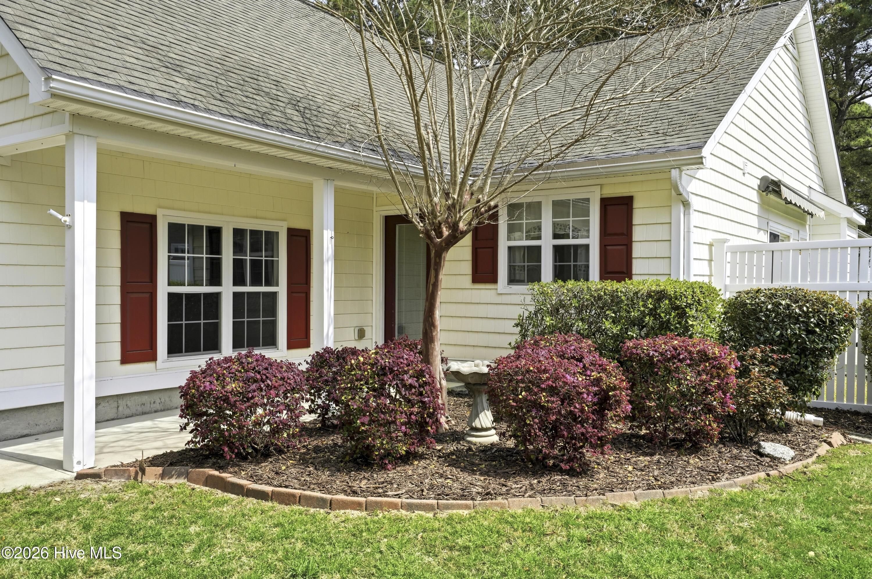 100562955 | Photo 49