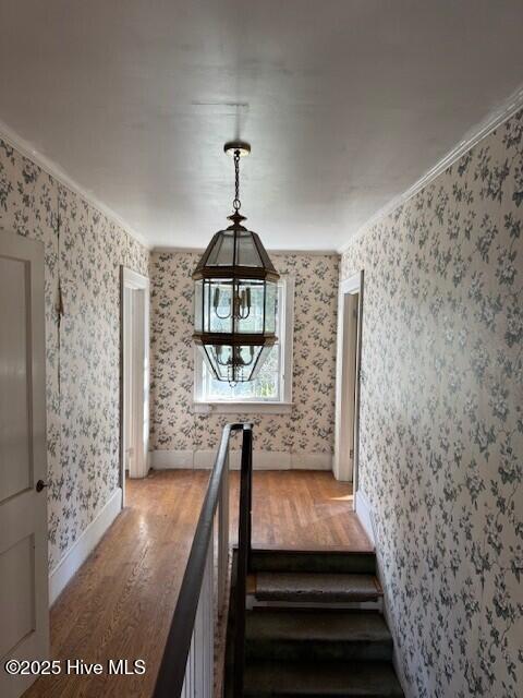 100508665 | Photo 10