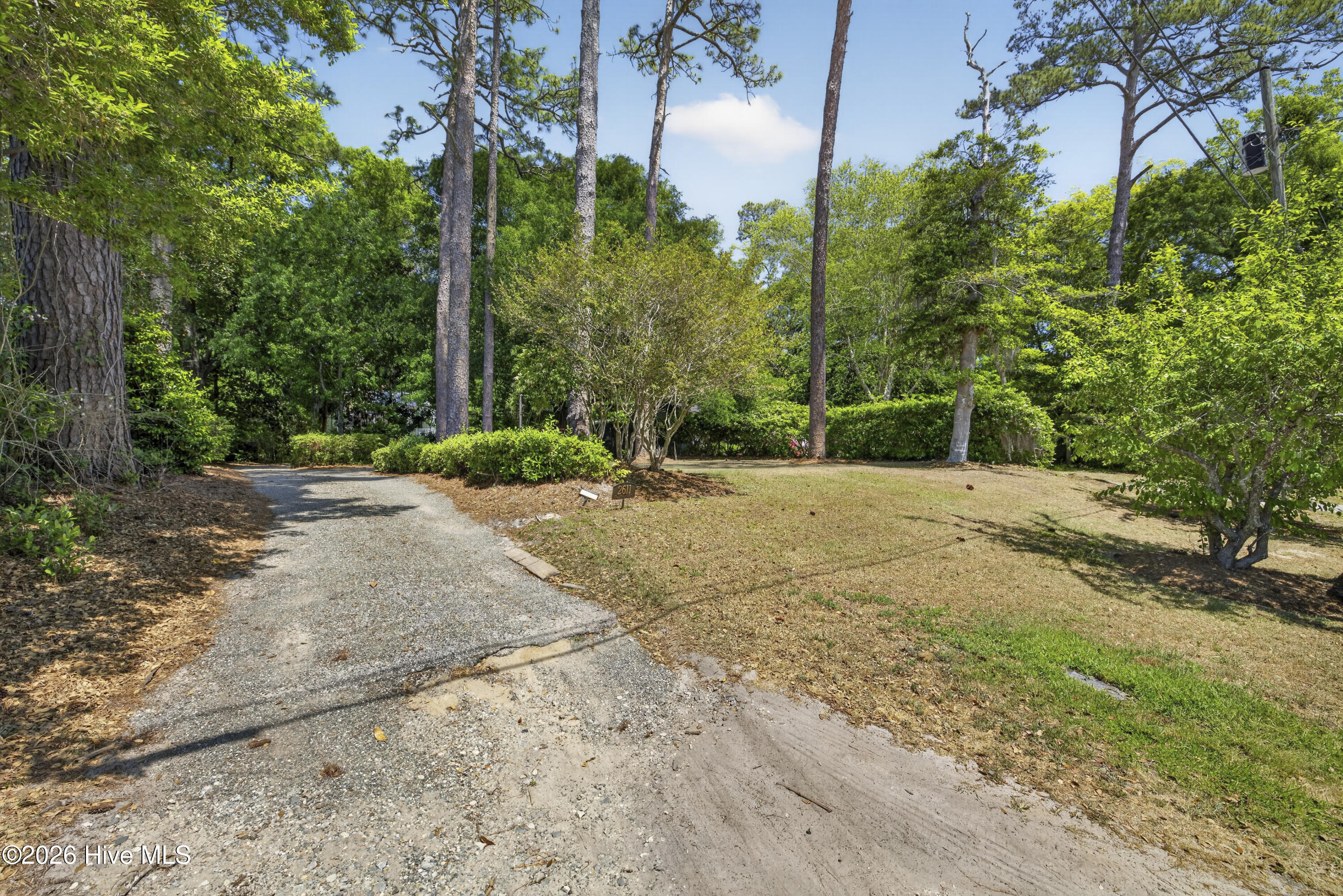 100569316 | Photo 14