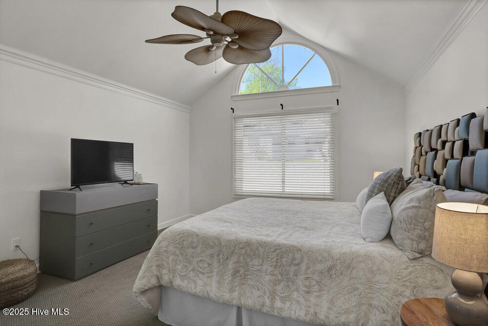 100551135 | Photo 18