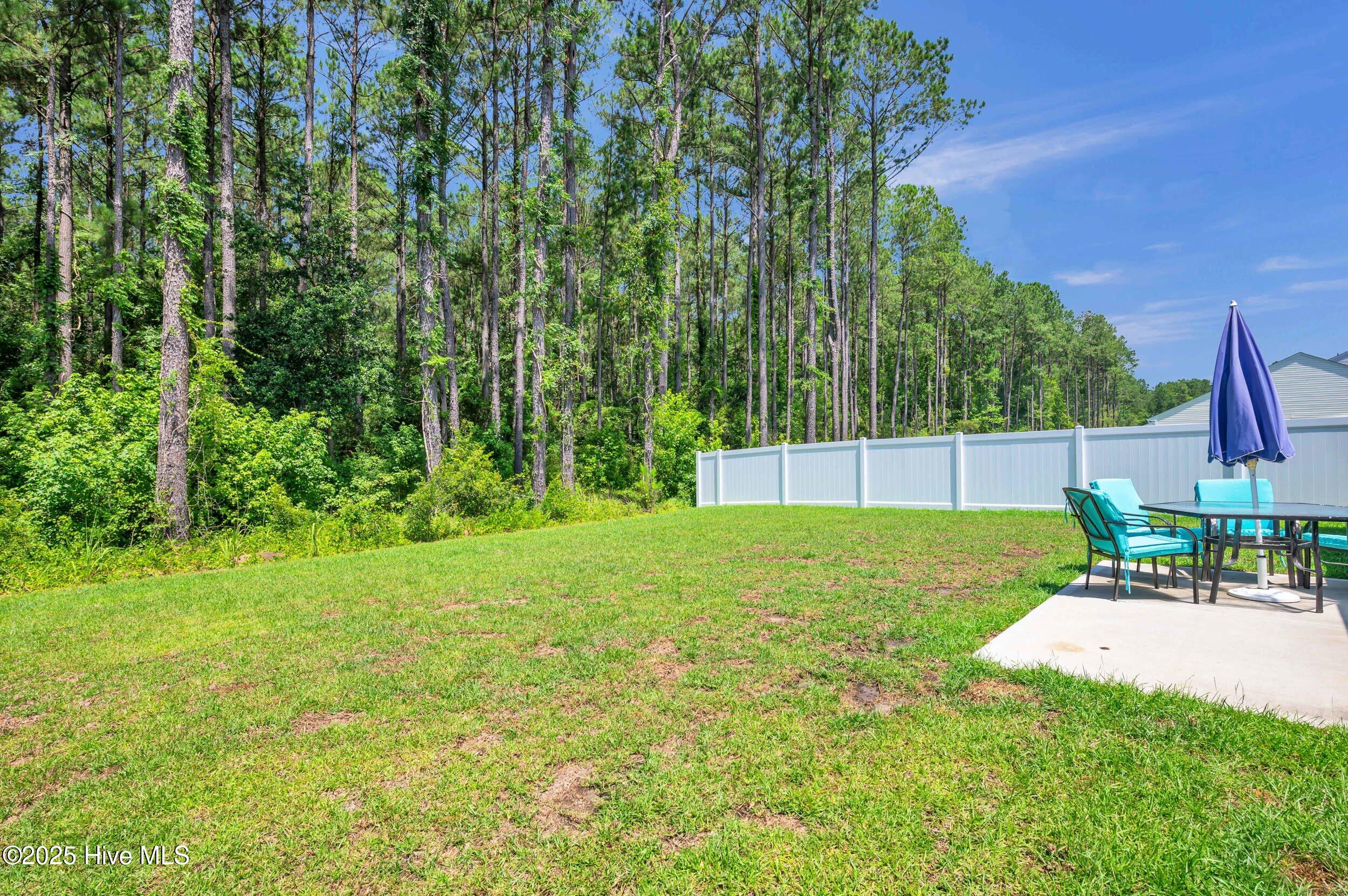 100570488 | Photo 27