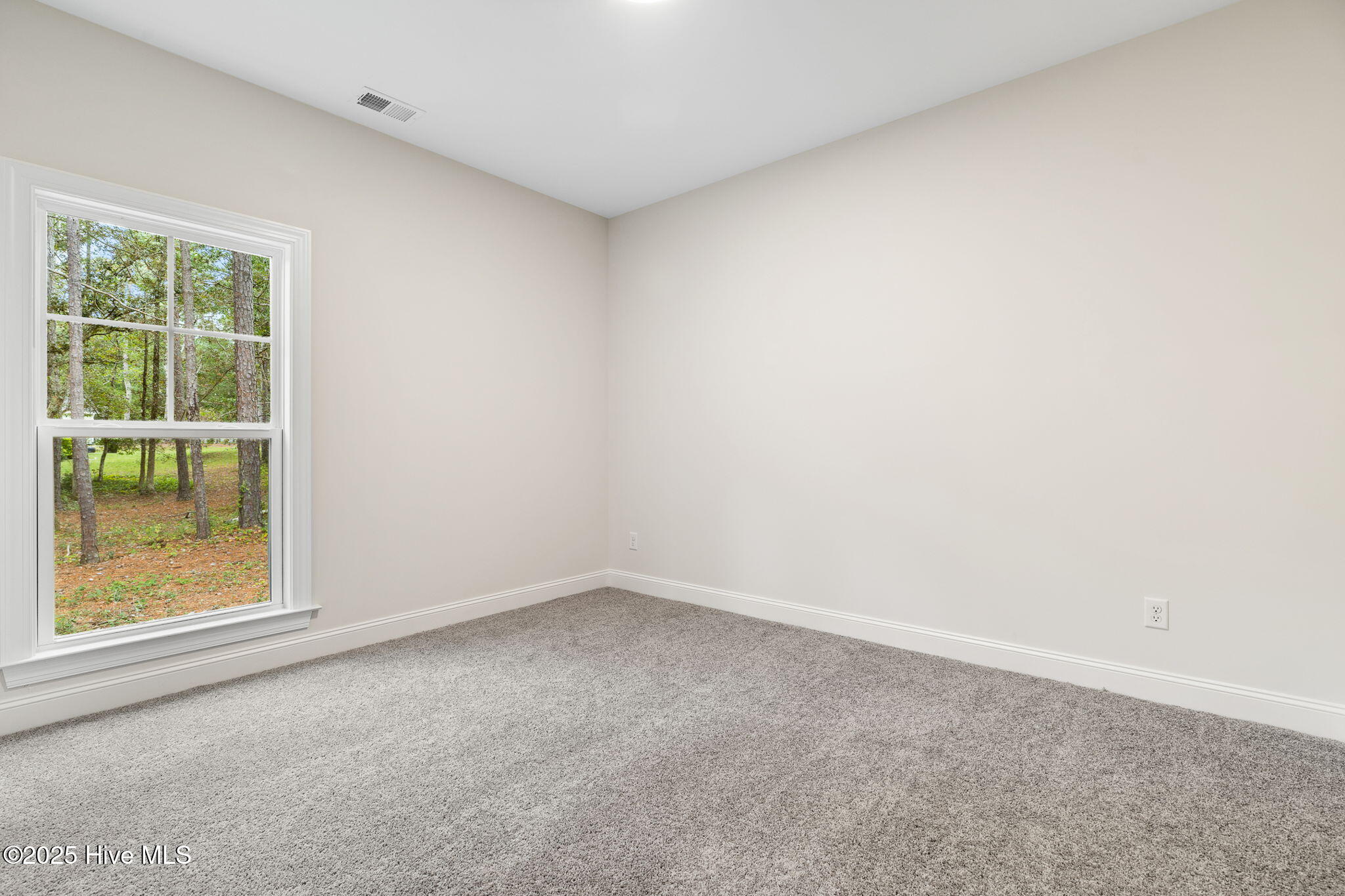 100513726 | Photo 38