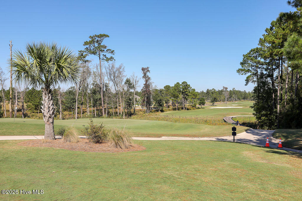 100555055 | Photo 96