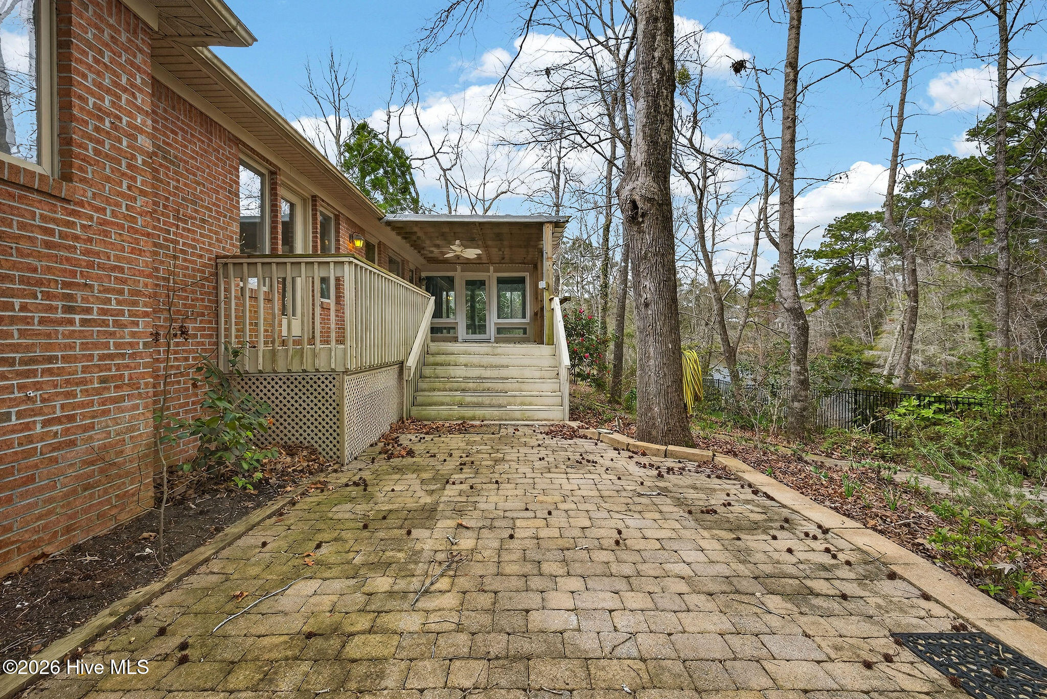 100556345 | Photo 10