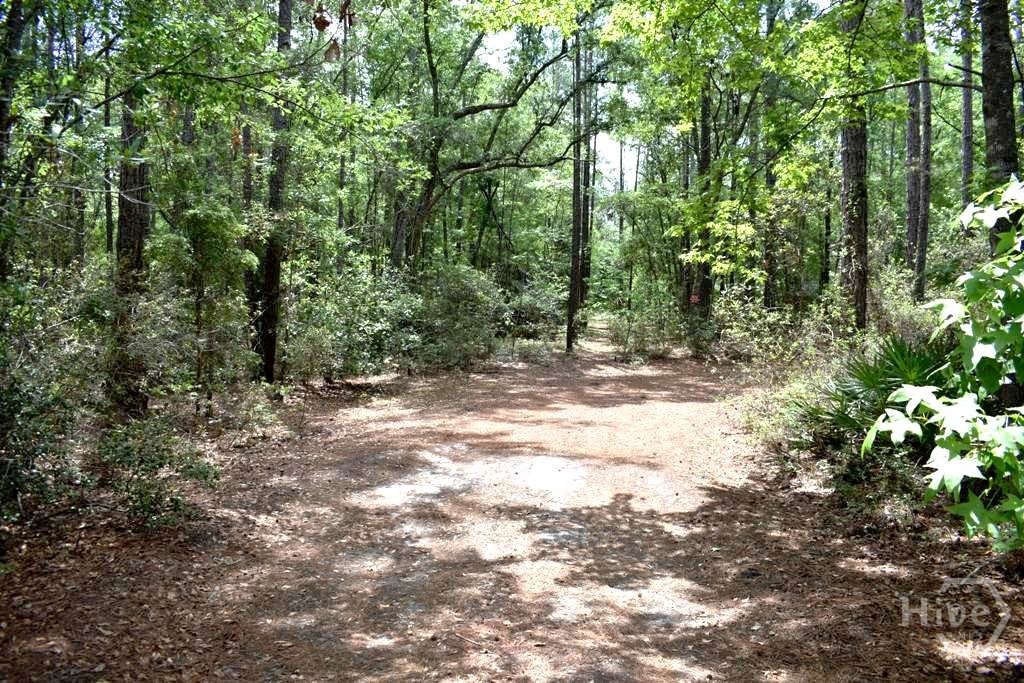 Homes for sale in Ellabell, GA | 2650 N Hwy 119, Ellabell, GA 31308 | MLS# SA356887