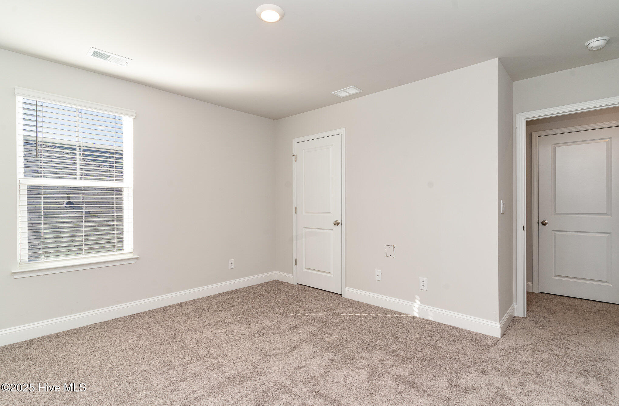 100535810 | Photo 18