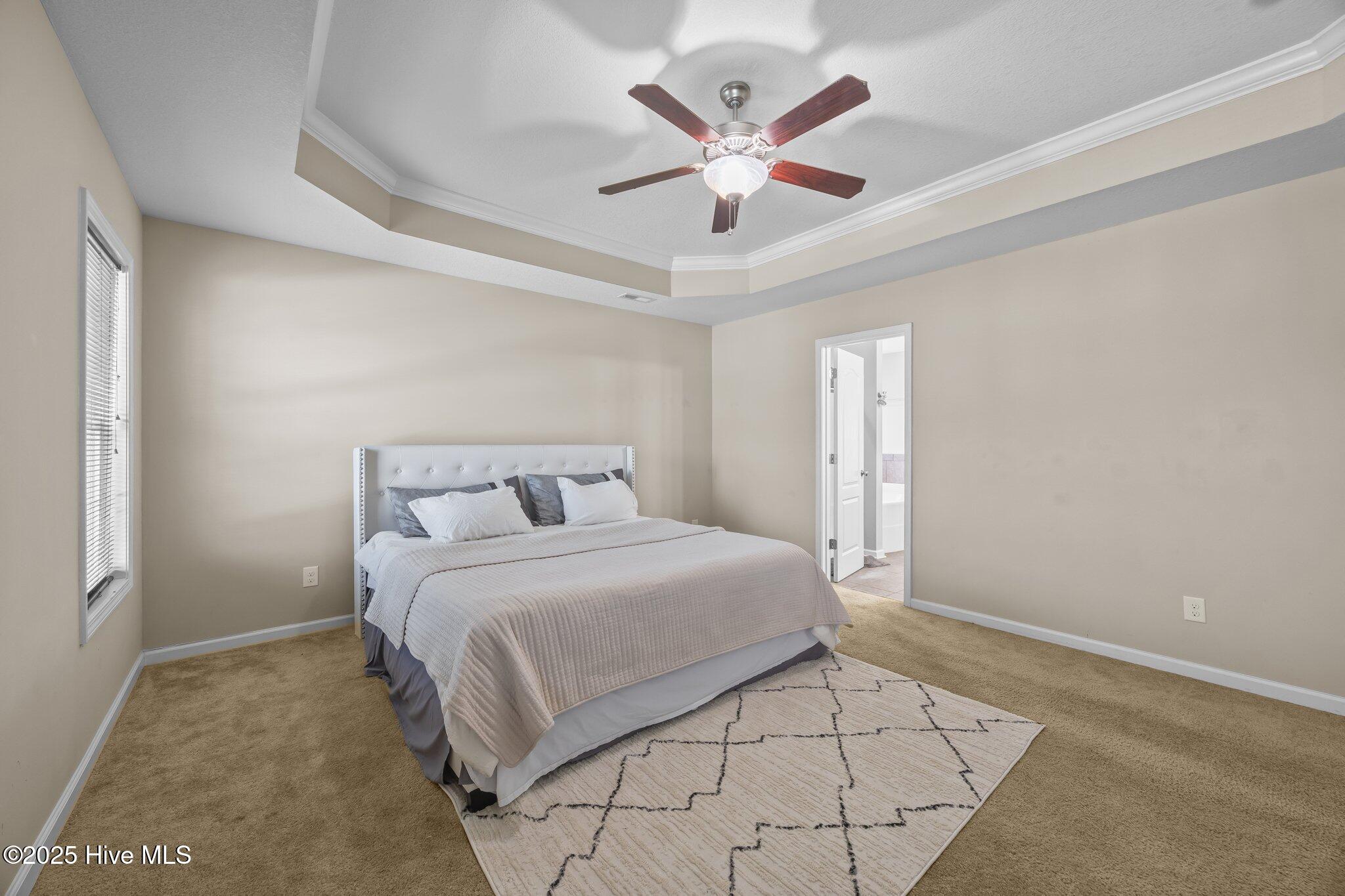 100555918 | Photo 35