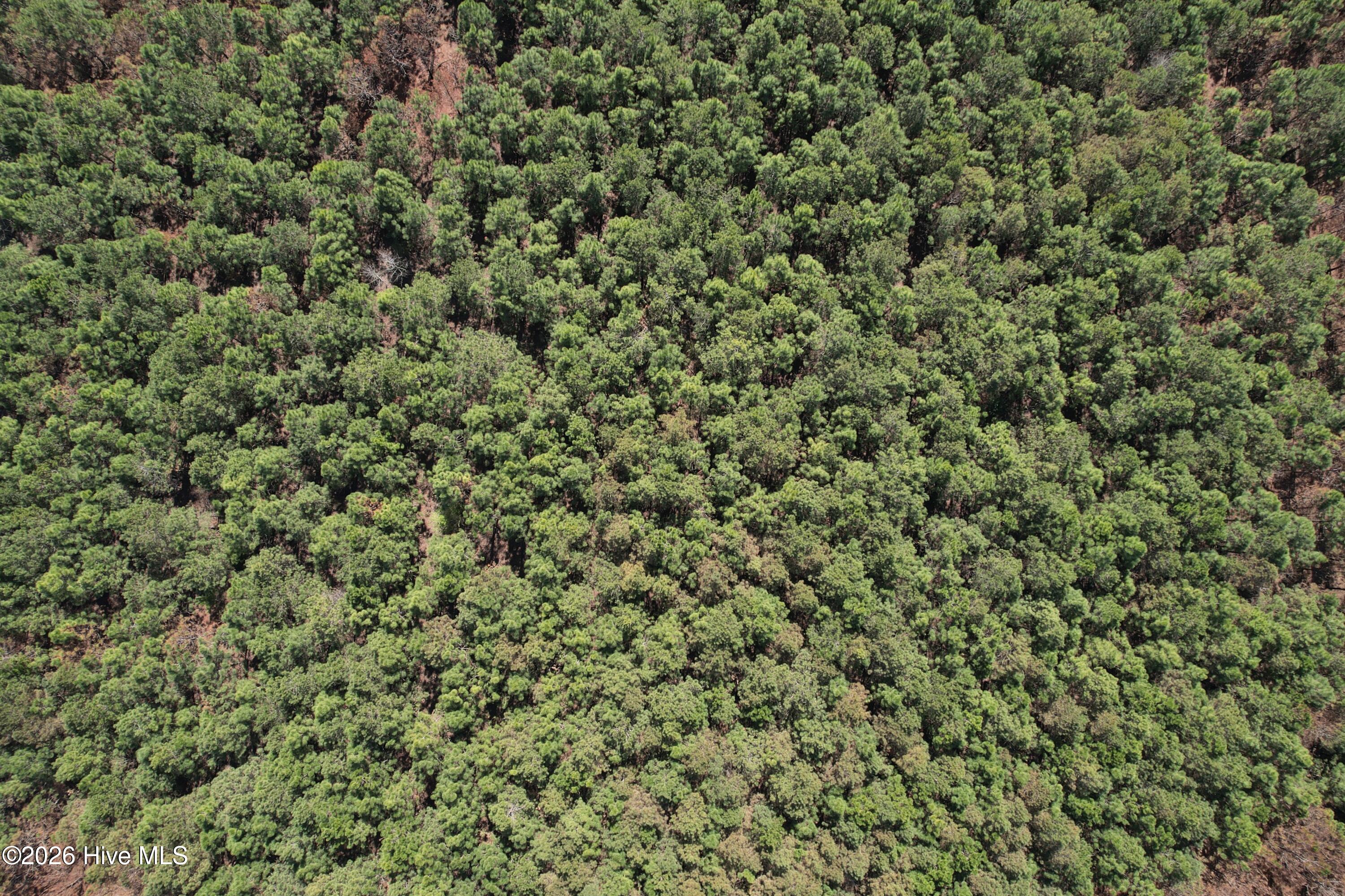 100560557 | Photo 21