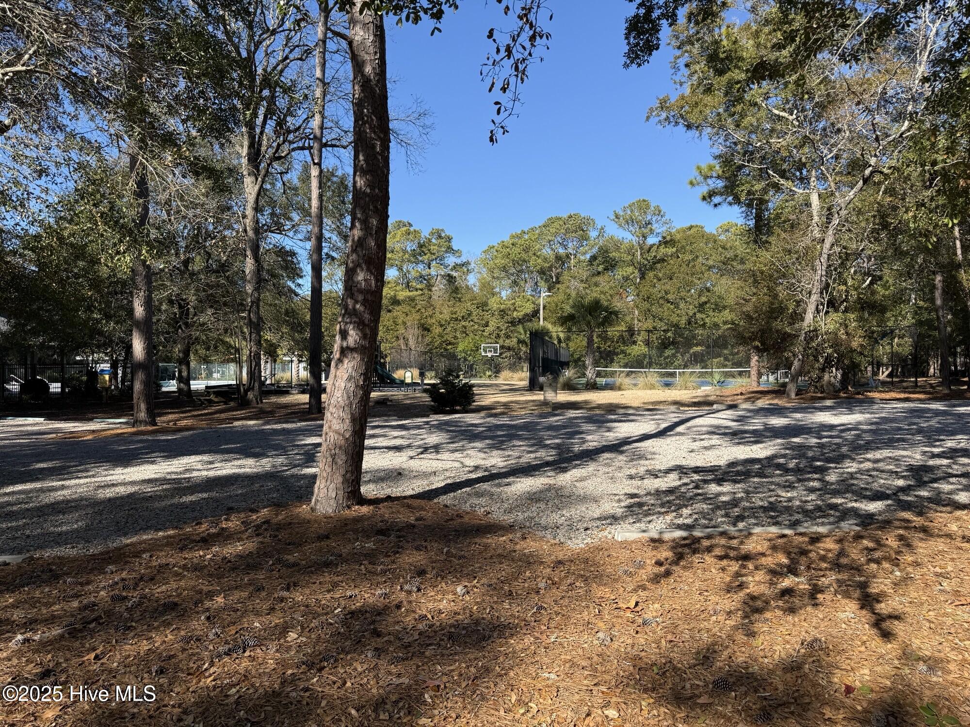 100546406 | Photo 17