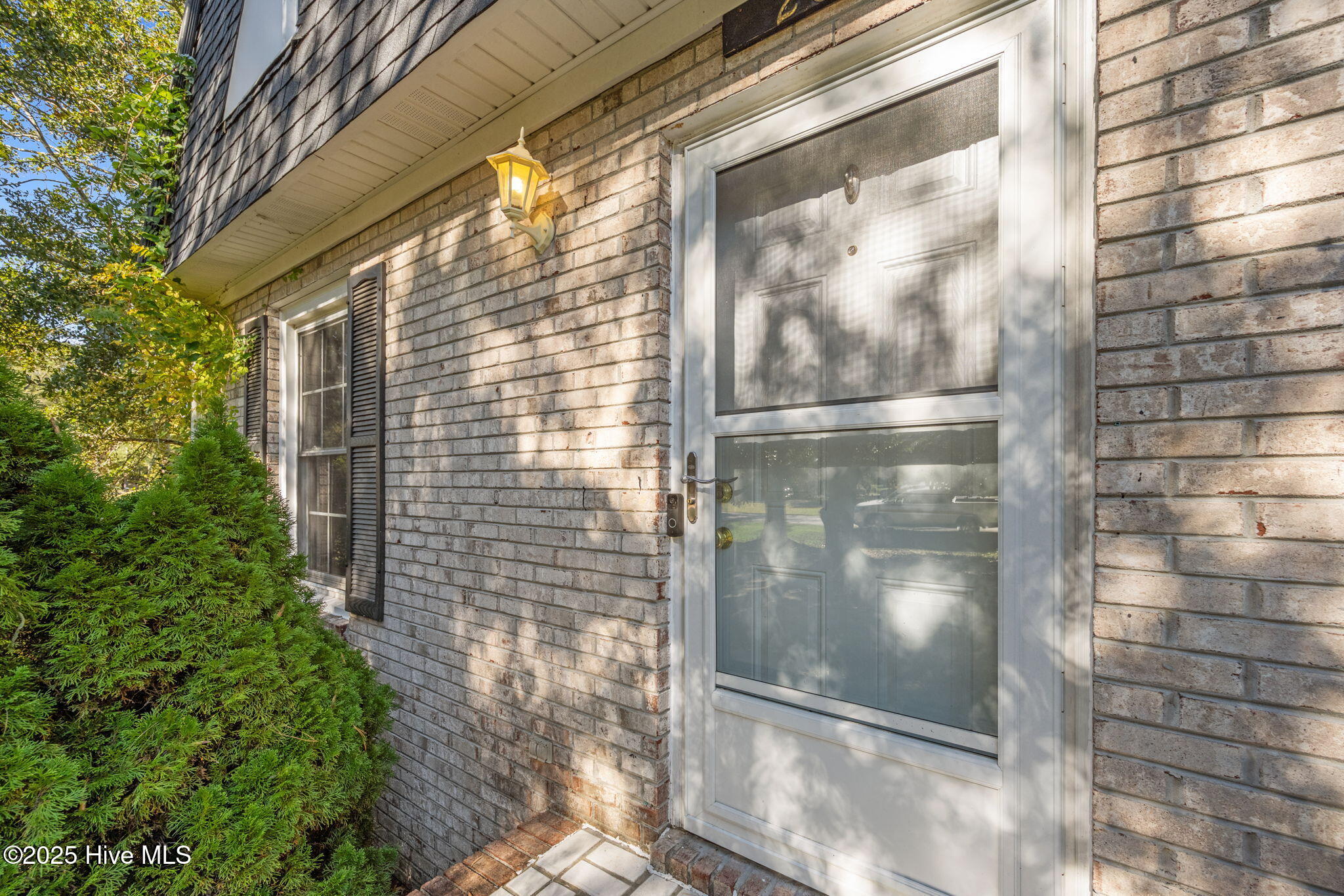 100537375 | Photo 39