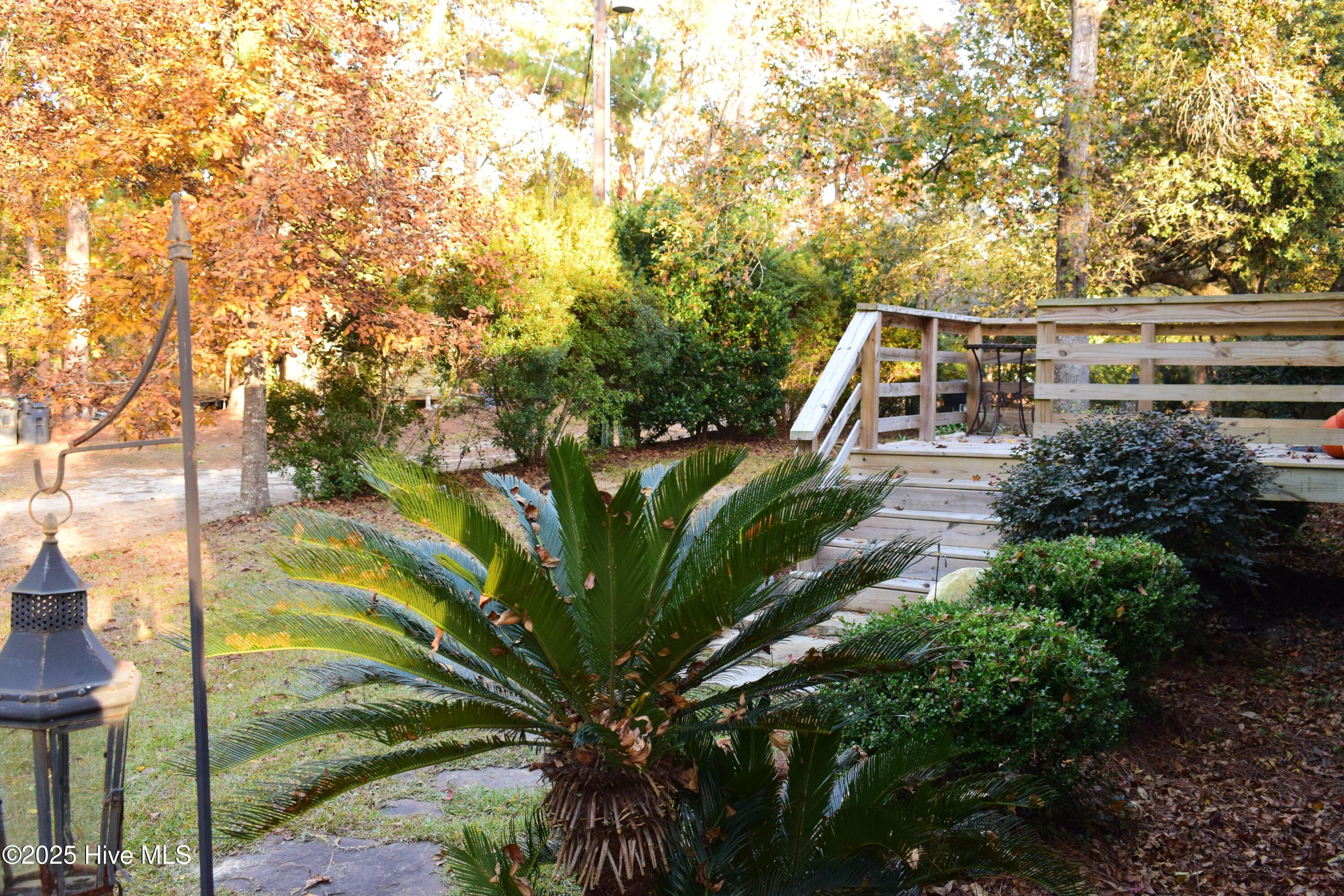 100543289 | Photo 42