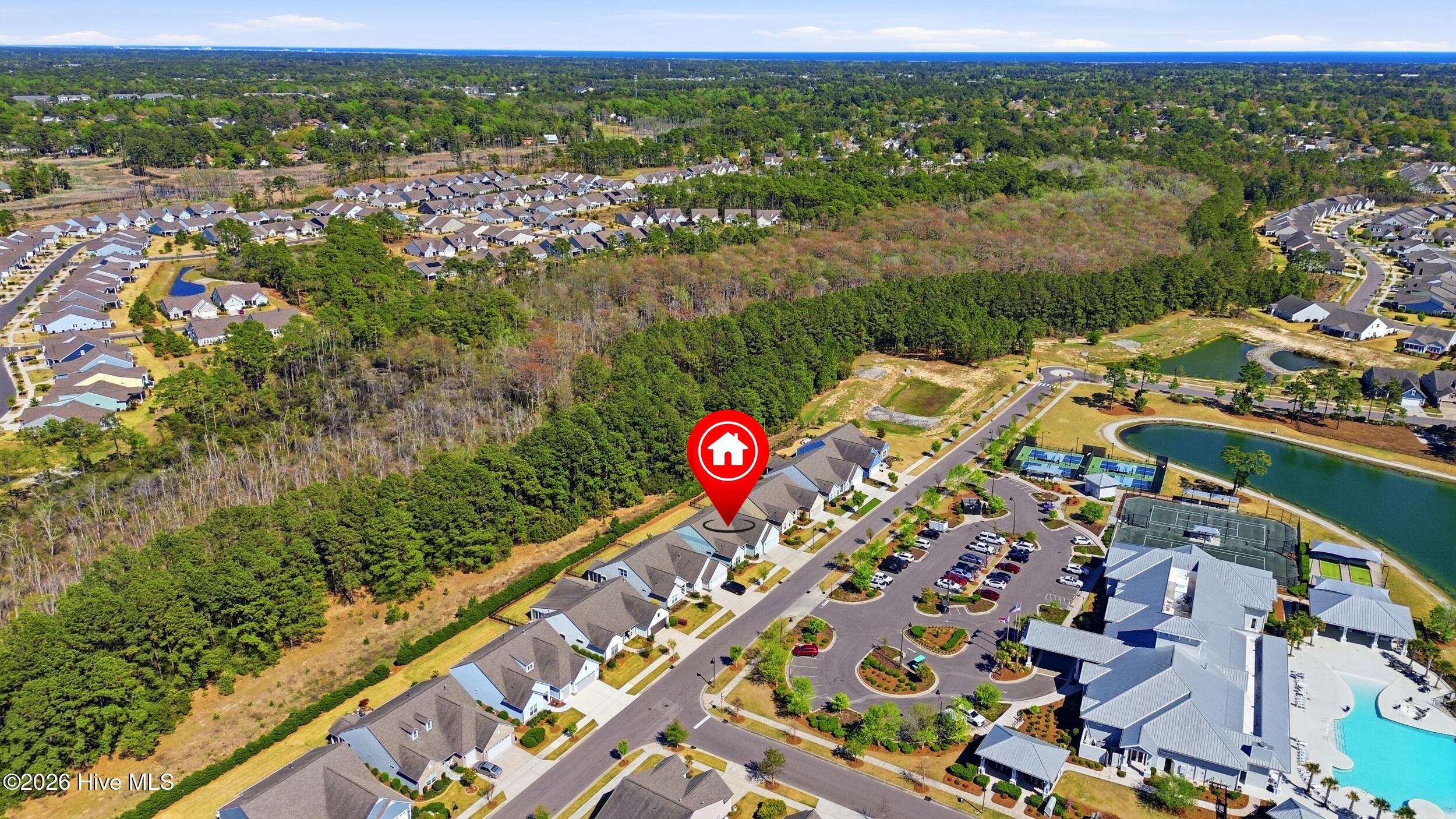 100565292 | Photo 50