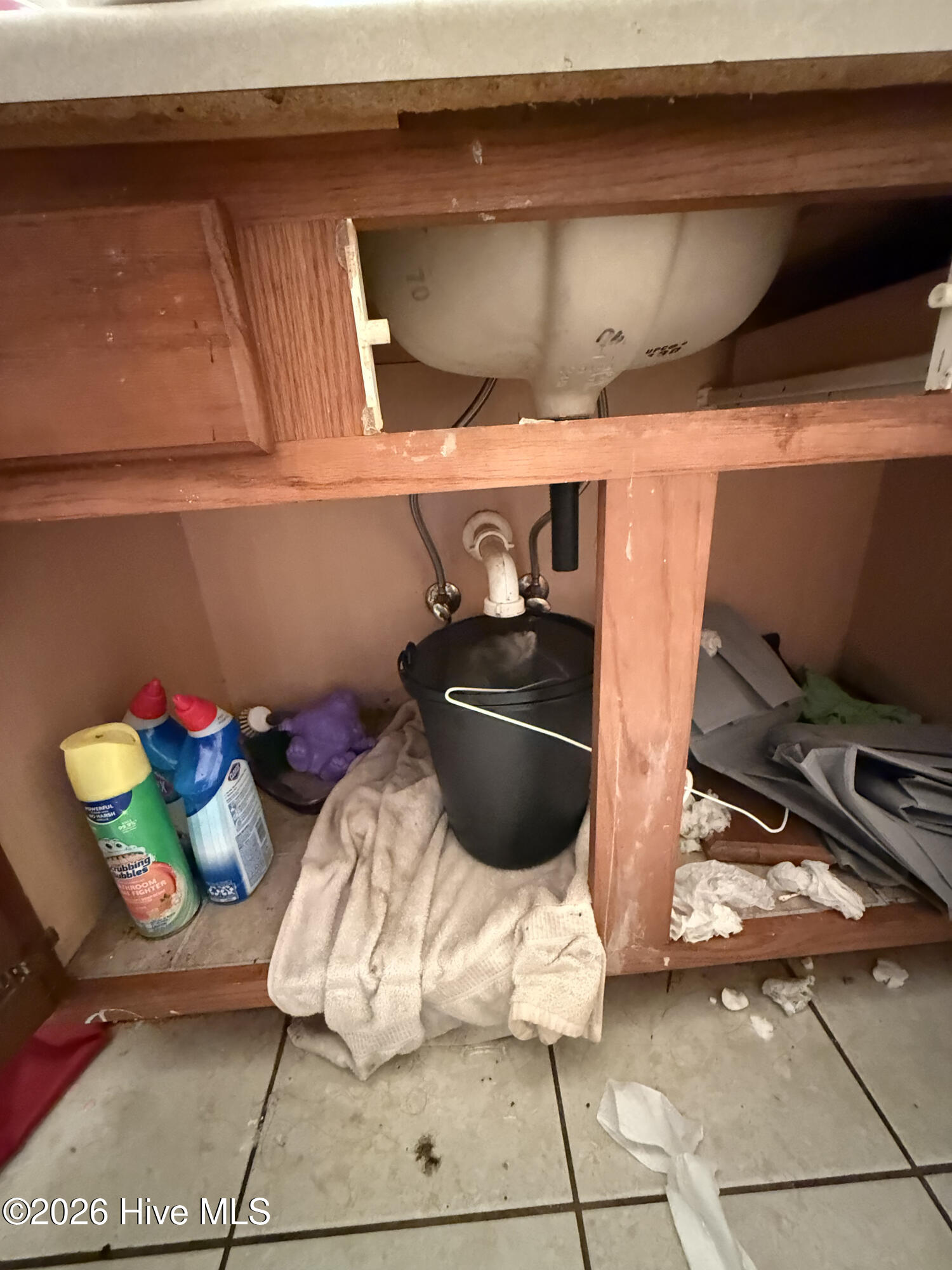 100562239 | Photo 45