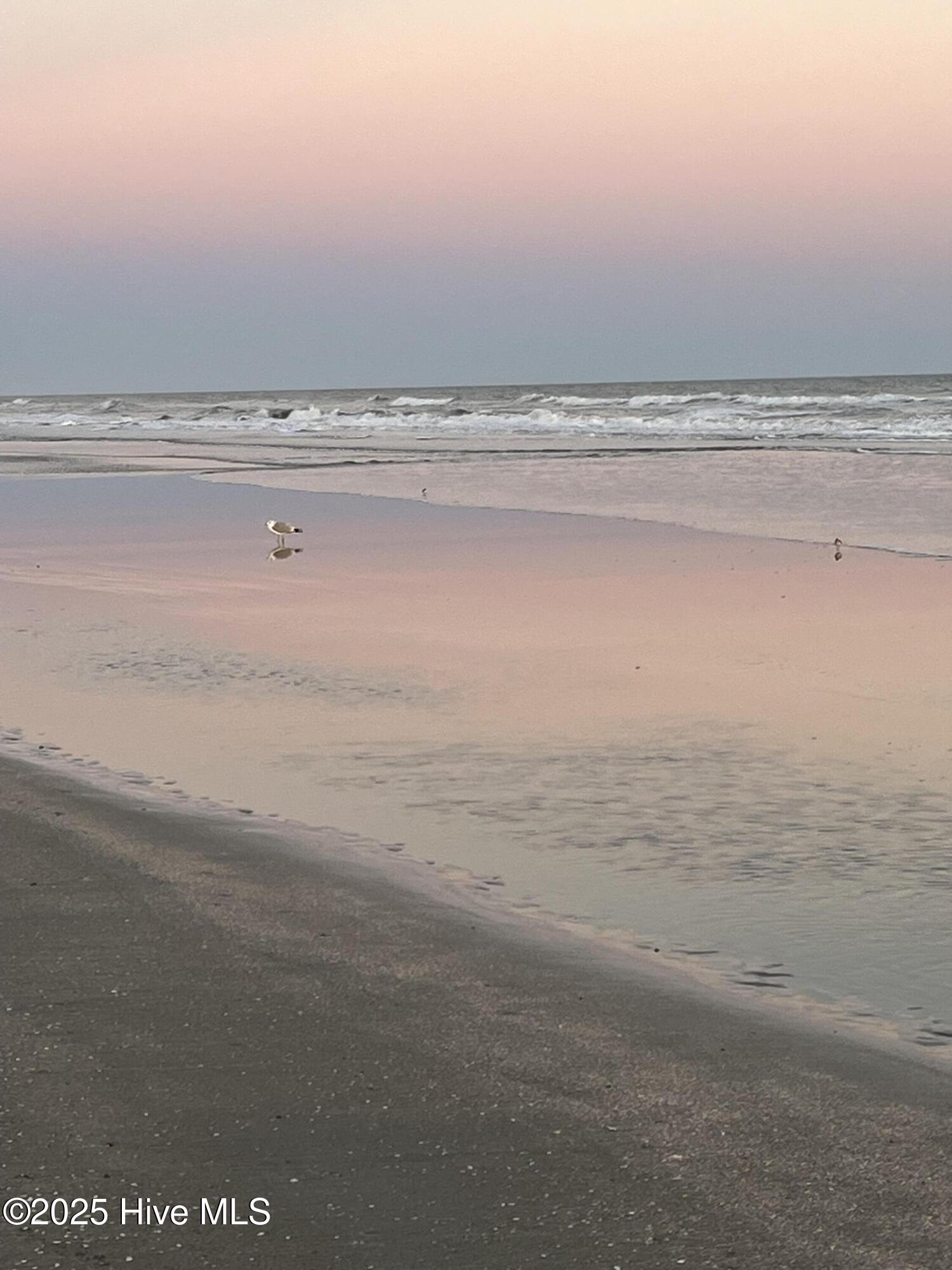 100551798 | Photo 34