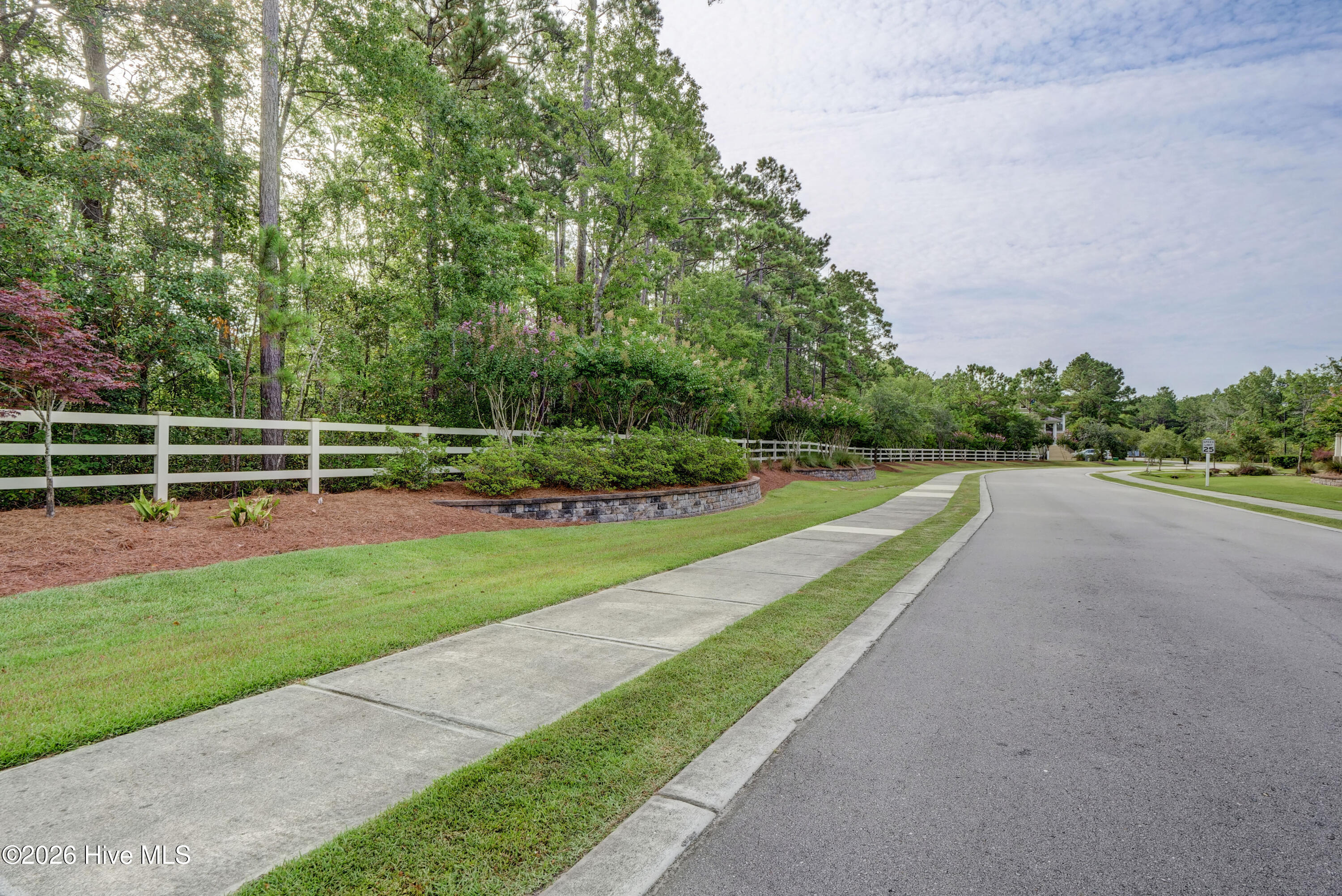 100563138 | Photo 29