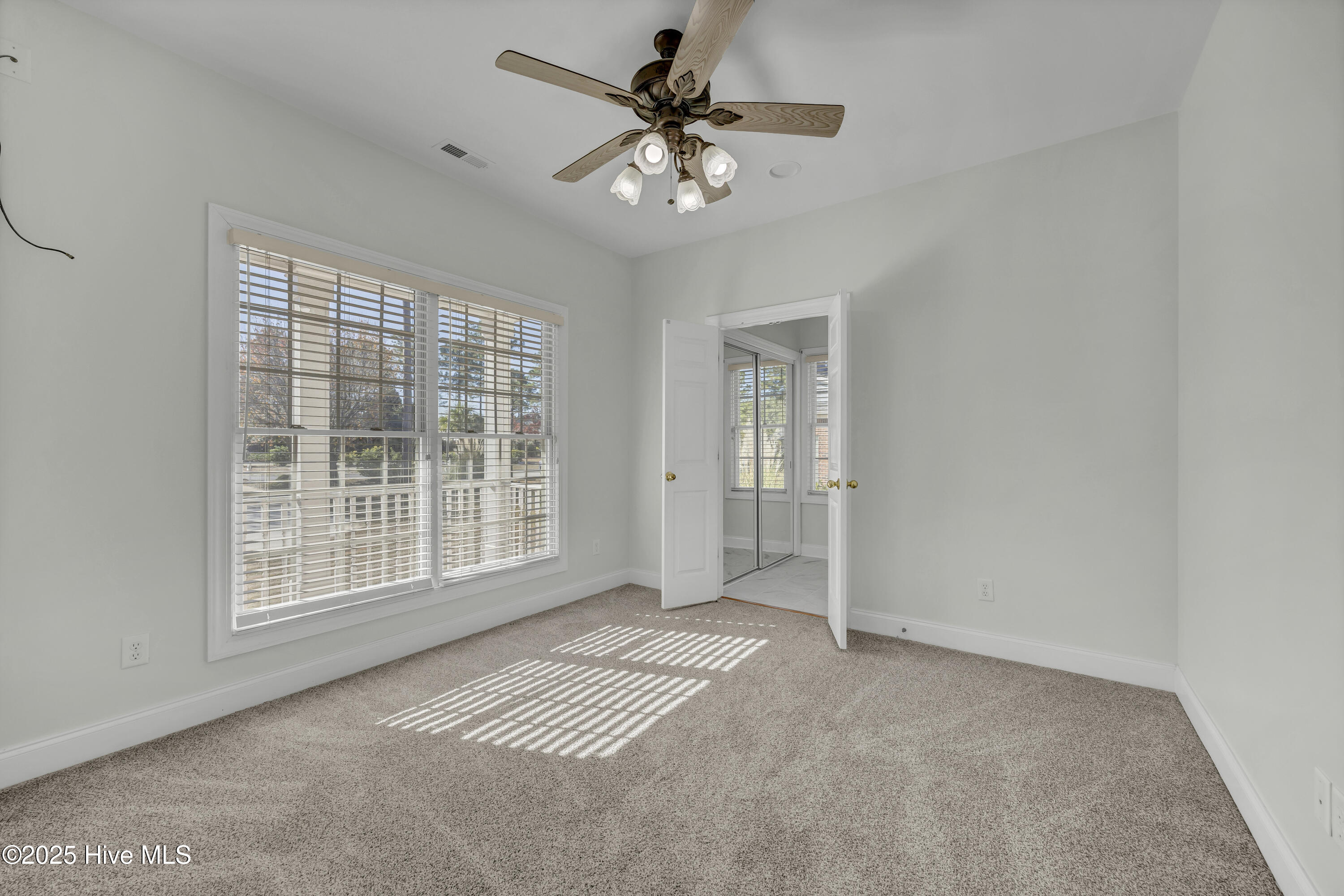 100530191 | Photo 11