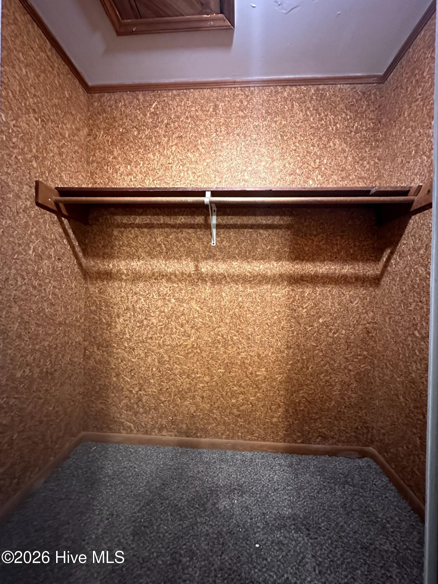 100550435 | Photo 19