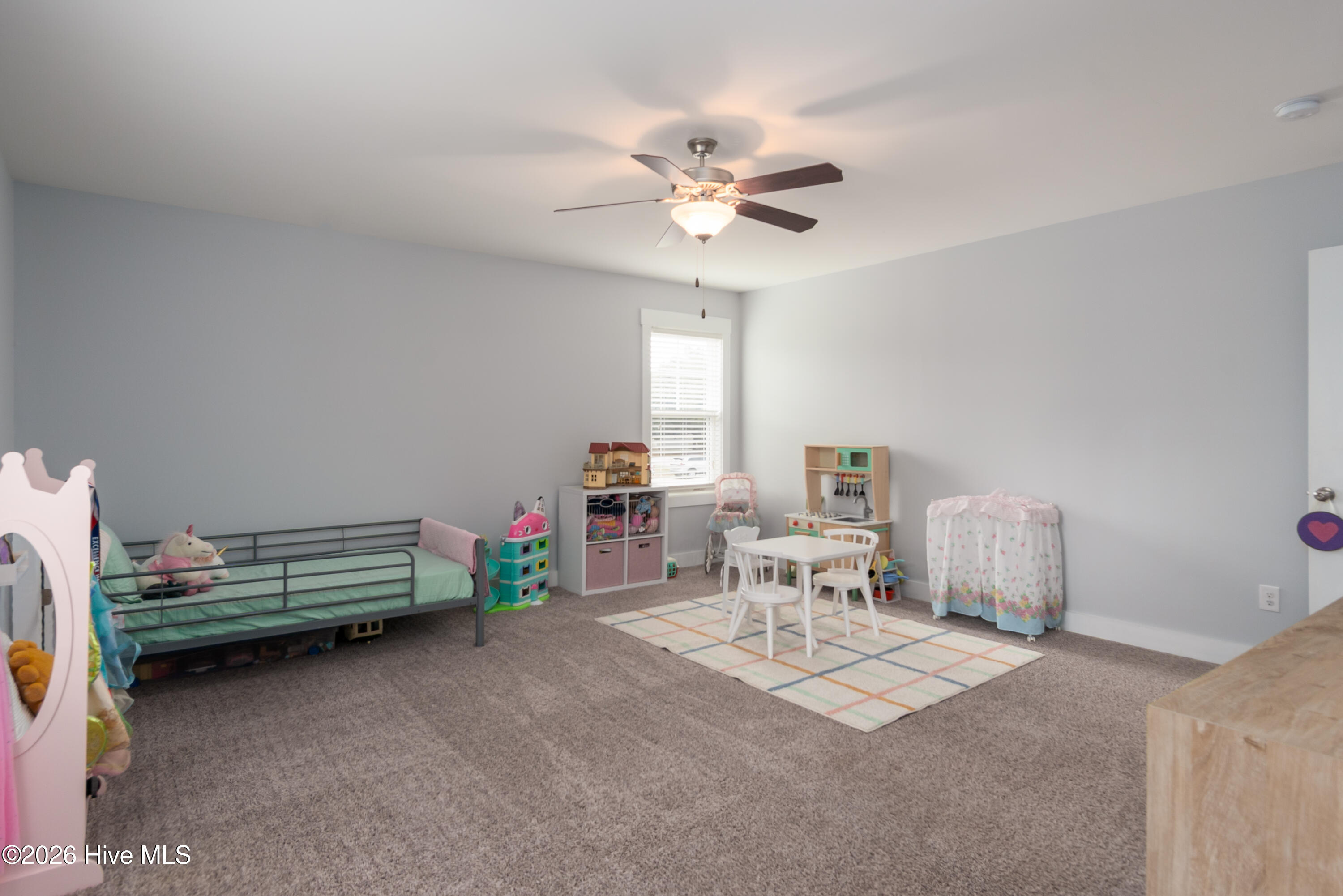 100558497 | Photo 37