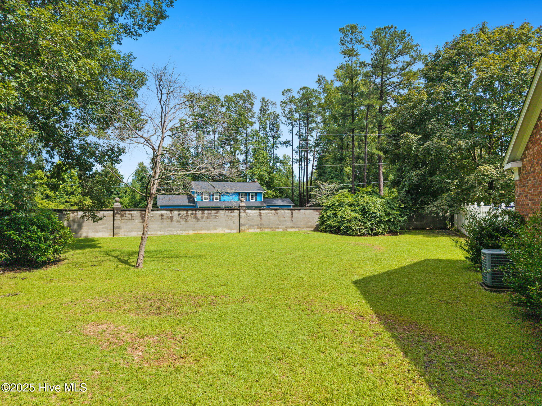 100526462 | Photo 63